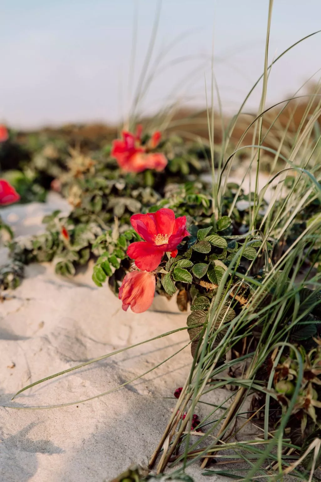 Admiral's Cor. Gulet-Inside