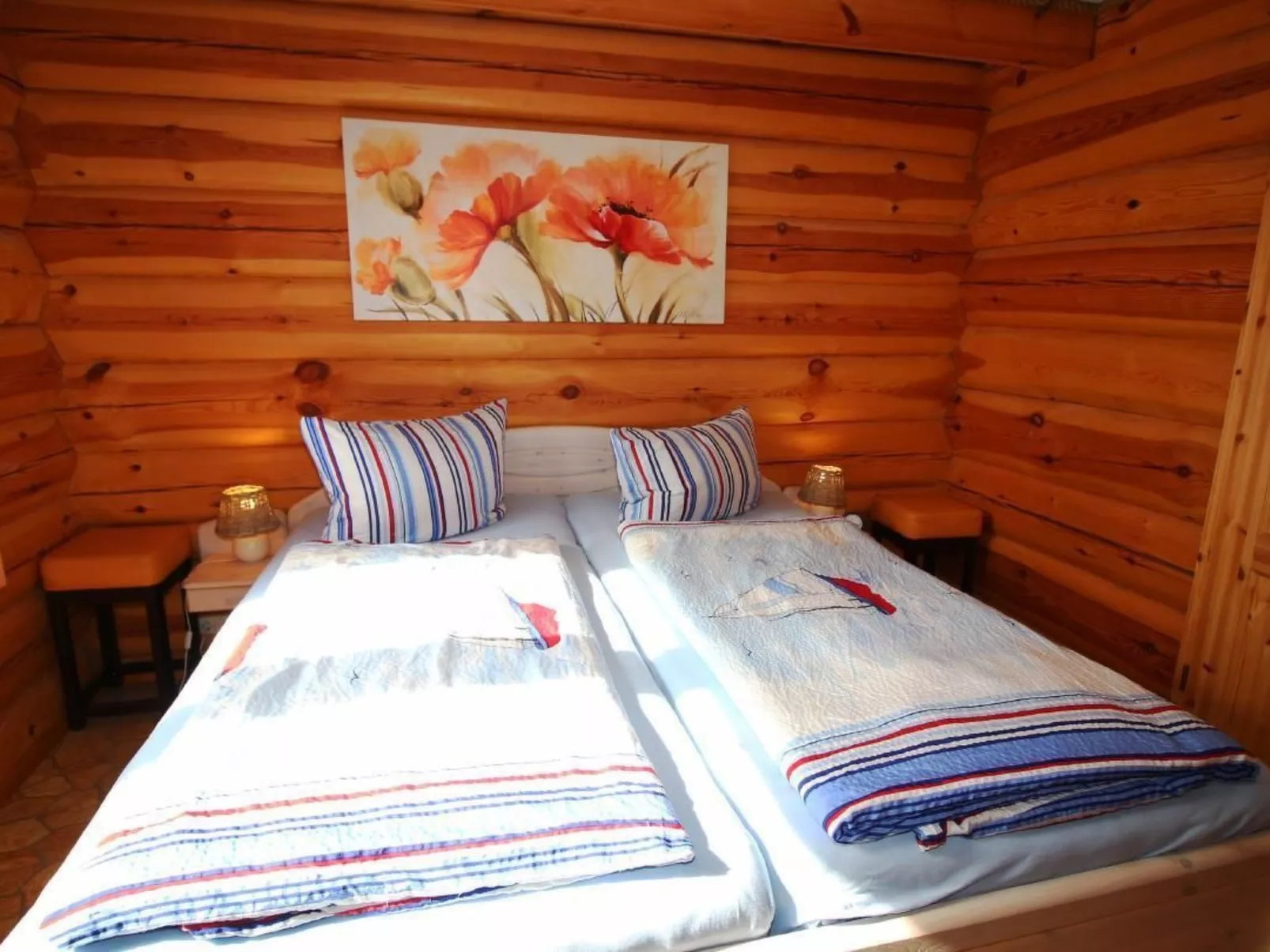 Amsel und Drossel-Dedans