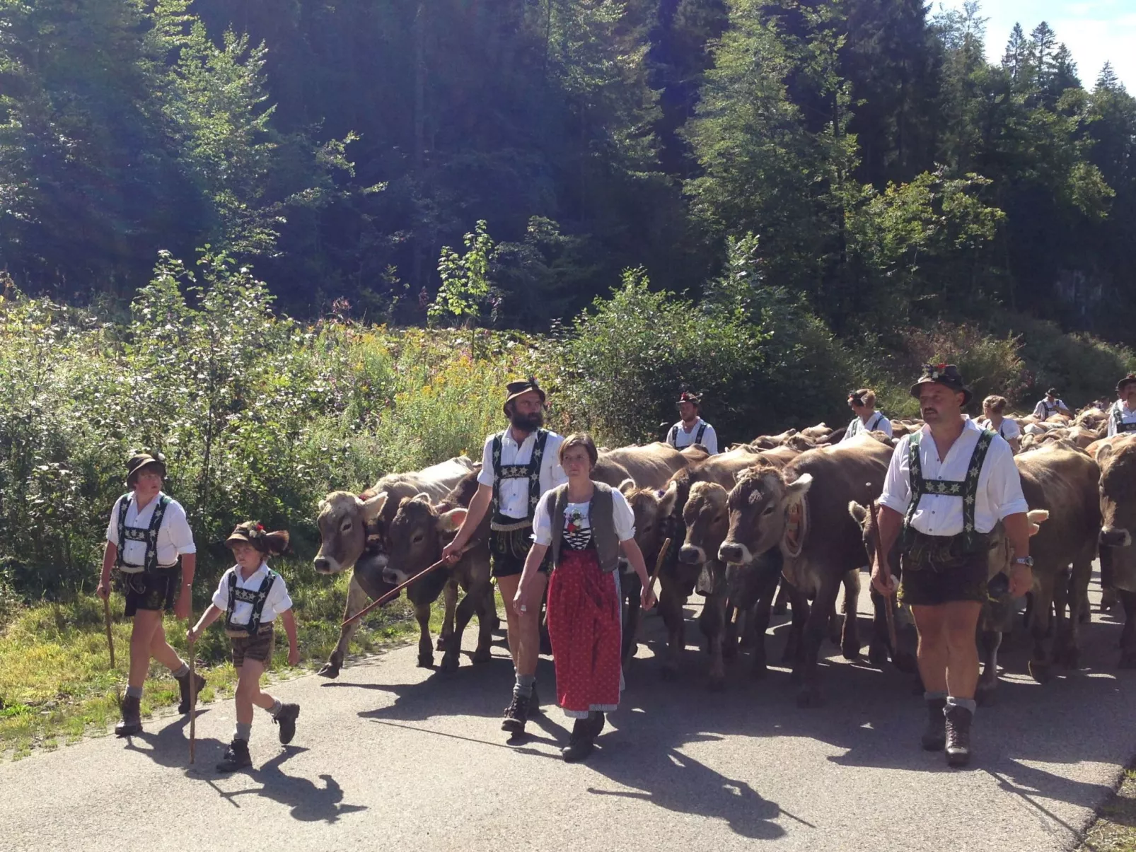 Sport Alpin Wh 130-Dedans