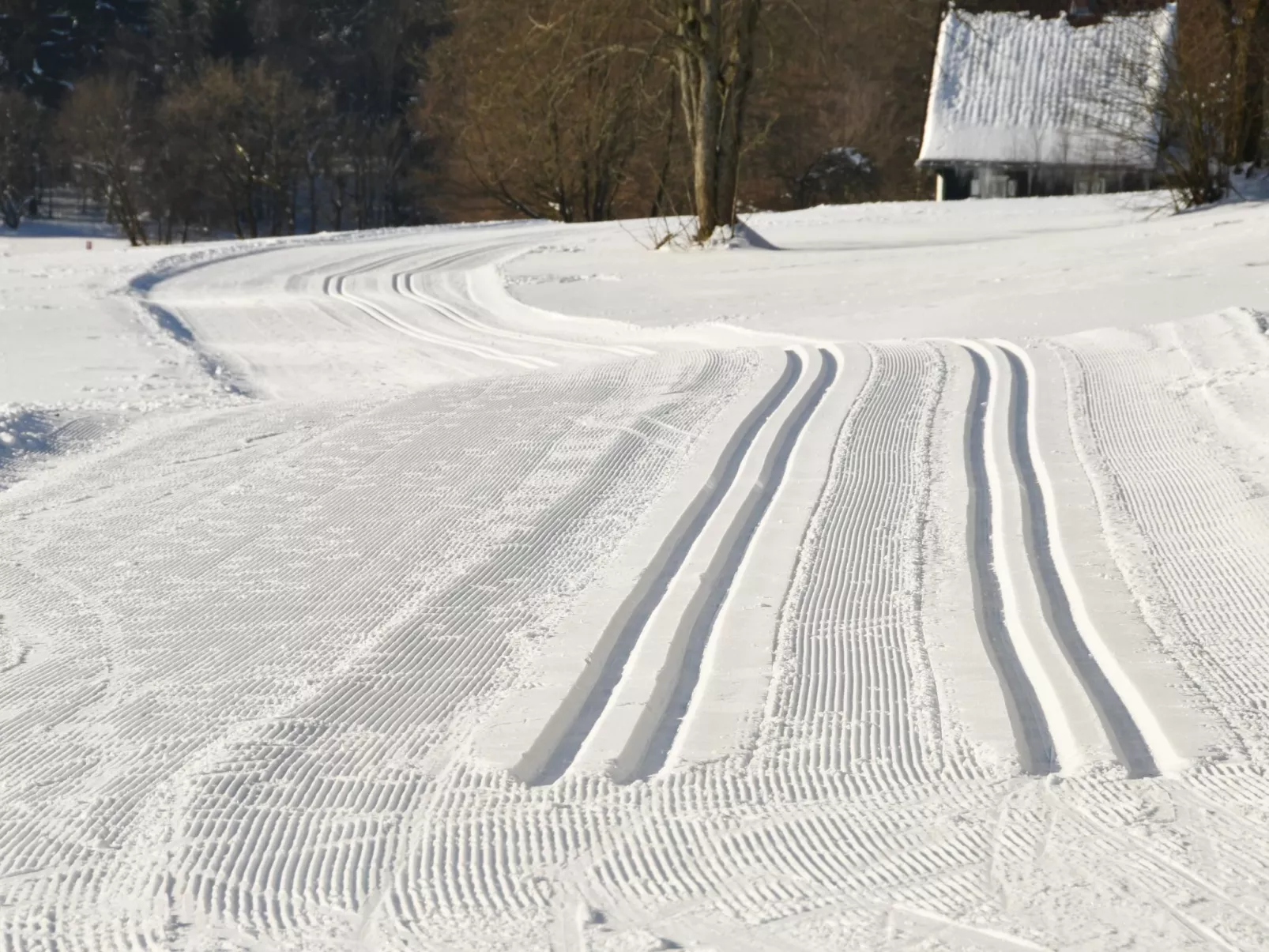 Große und moderne Ferienwohnung im Erdgeschoss-Outside