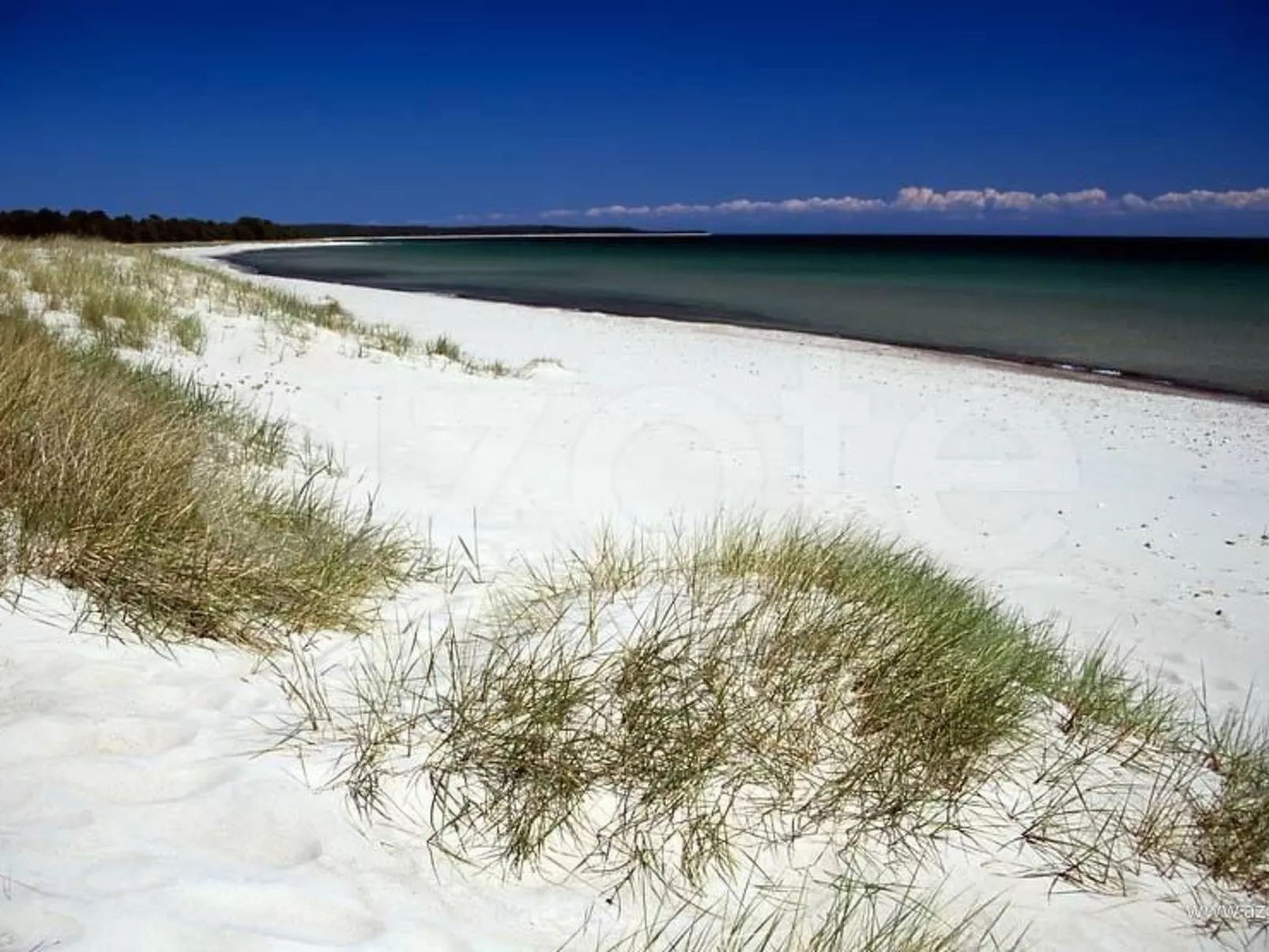 Komfortables Ferienhaus mit Garten-Draußen