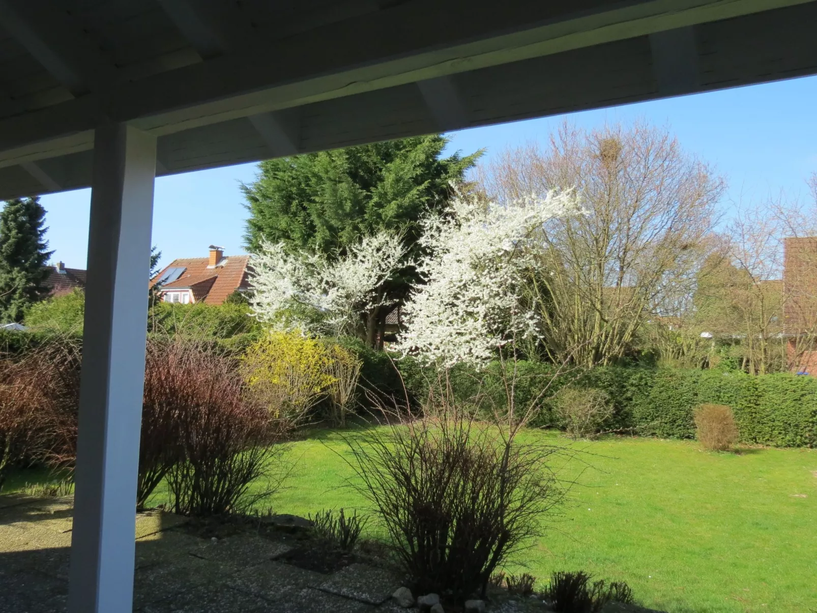 Erdgeschosswohnung im Haus "Silva Mare"-Outside