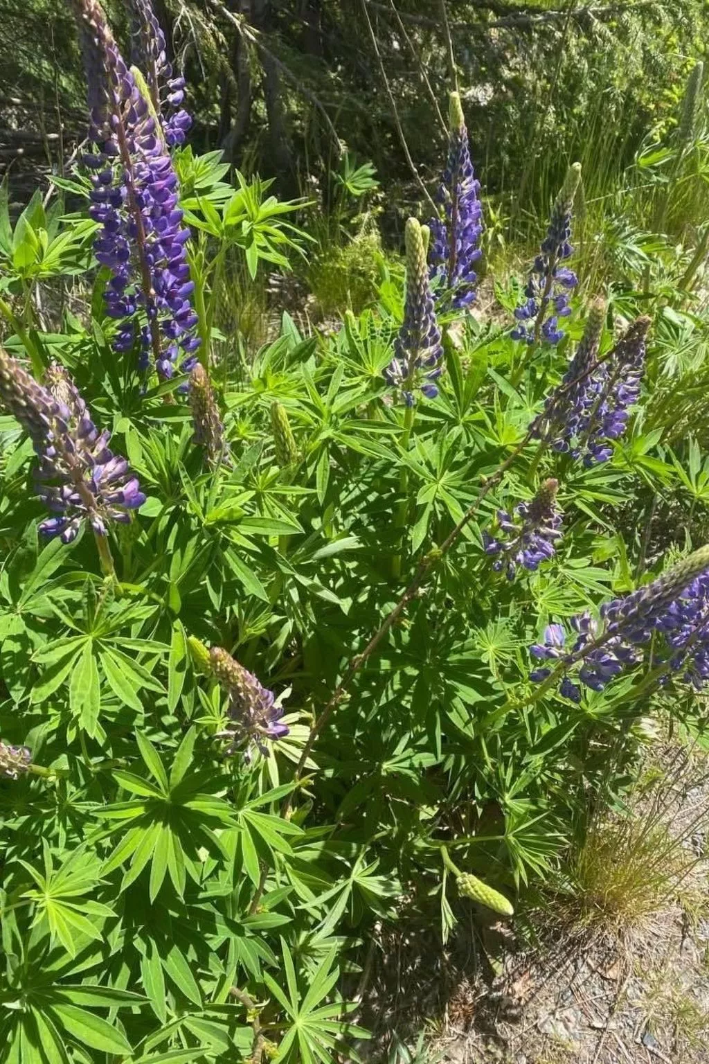 Kramphult Sjöåkra-Inside