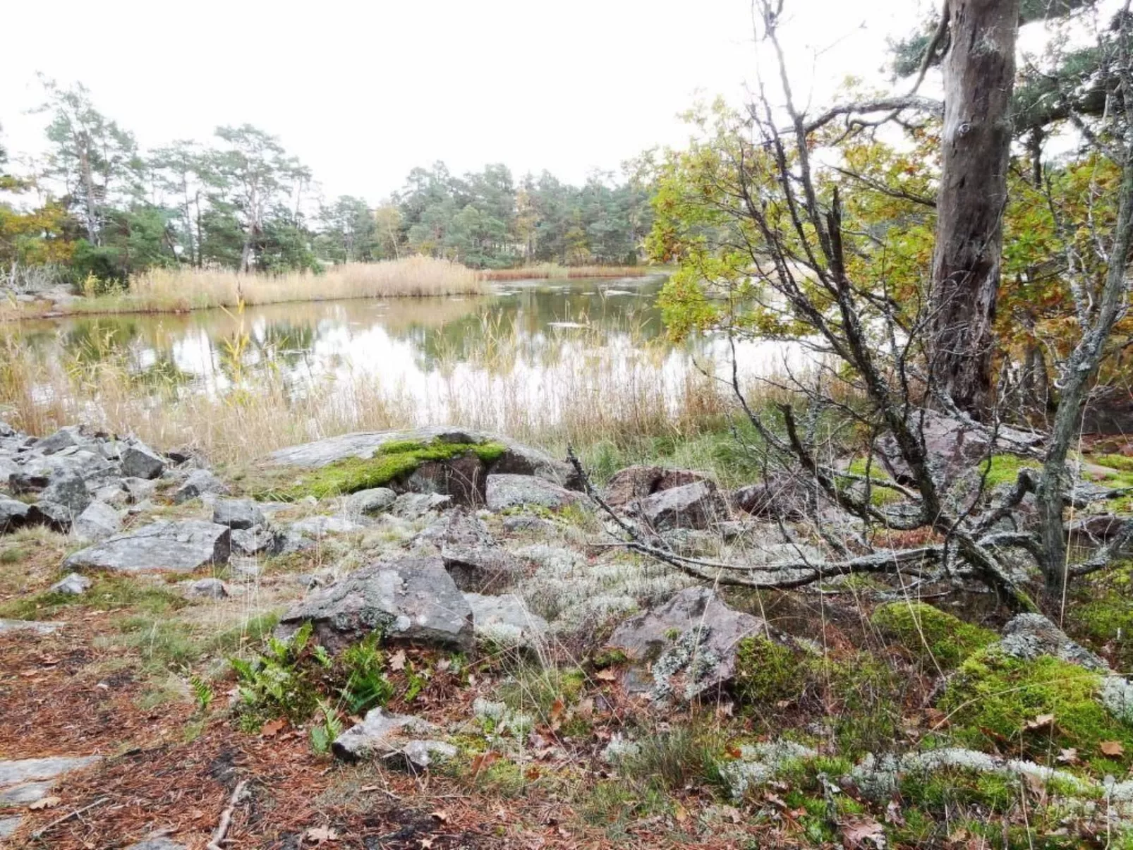 Mit Sauna und Kaminofen sowie Terrasse-Inside