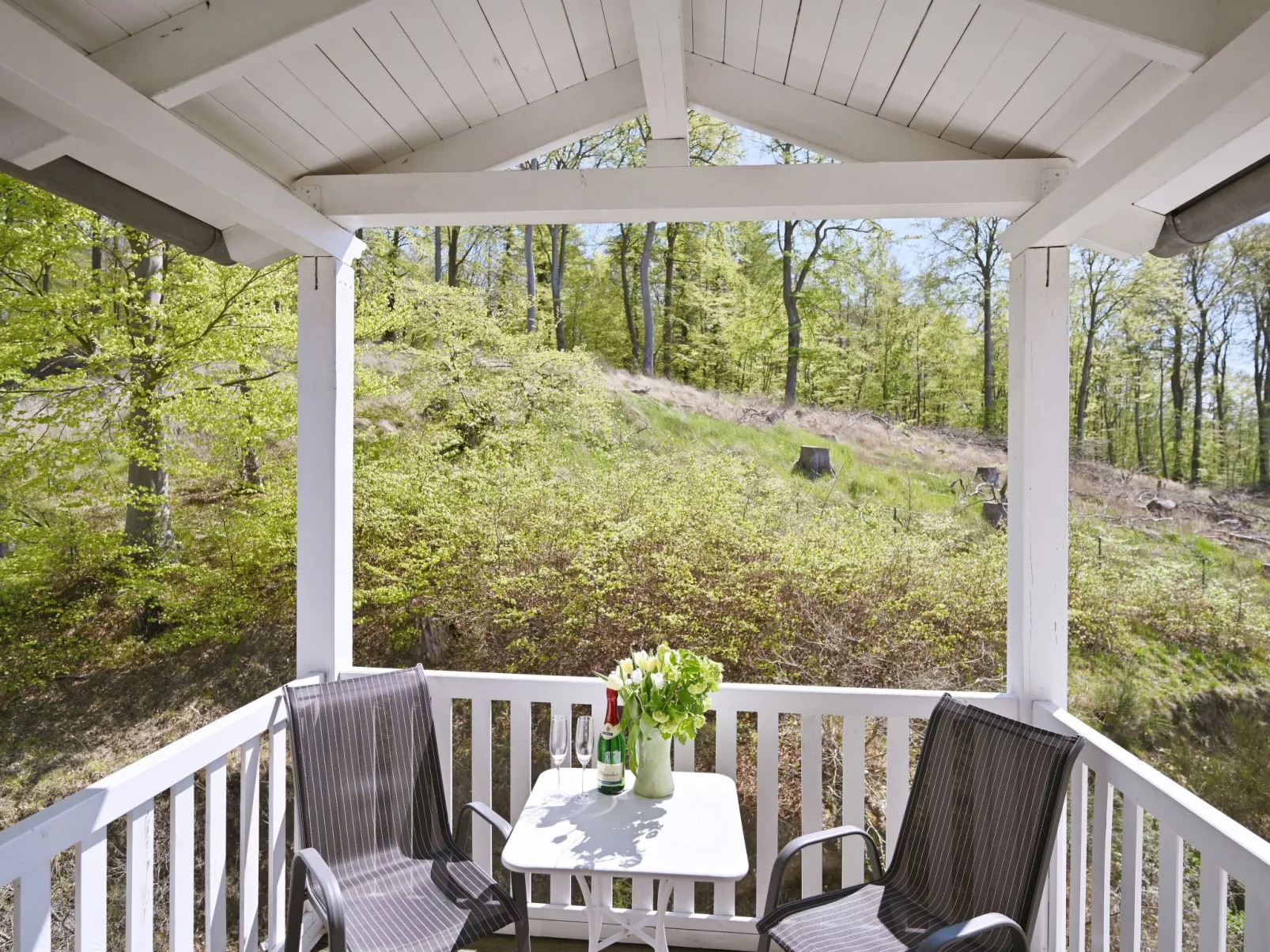 Villa Celia Sellin-Dedans