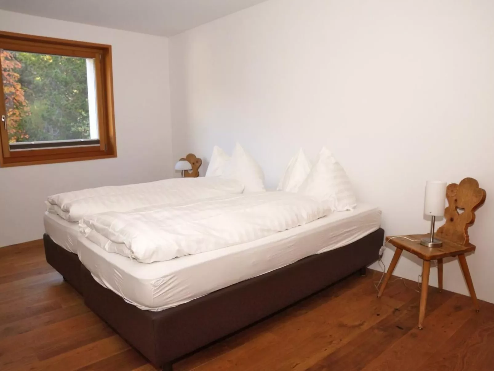 Soldanella 5-Image-tags.info