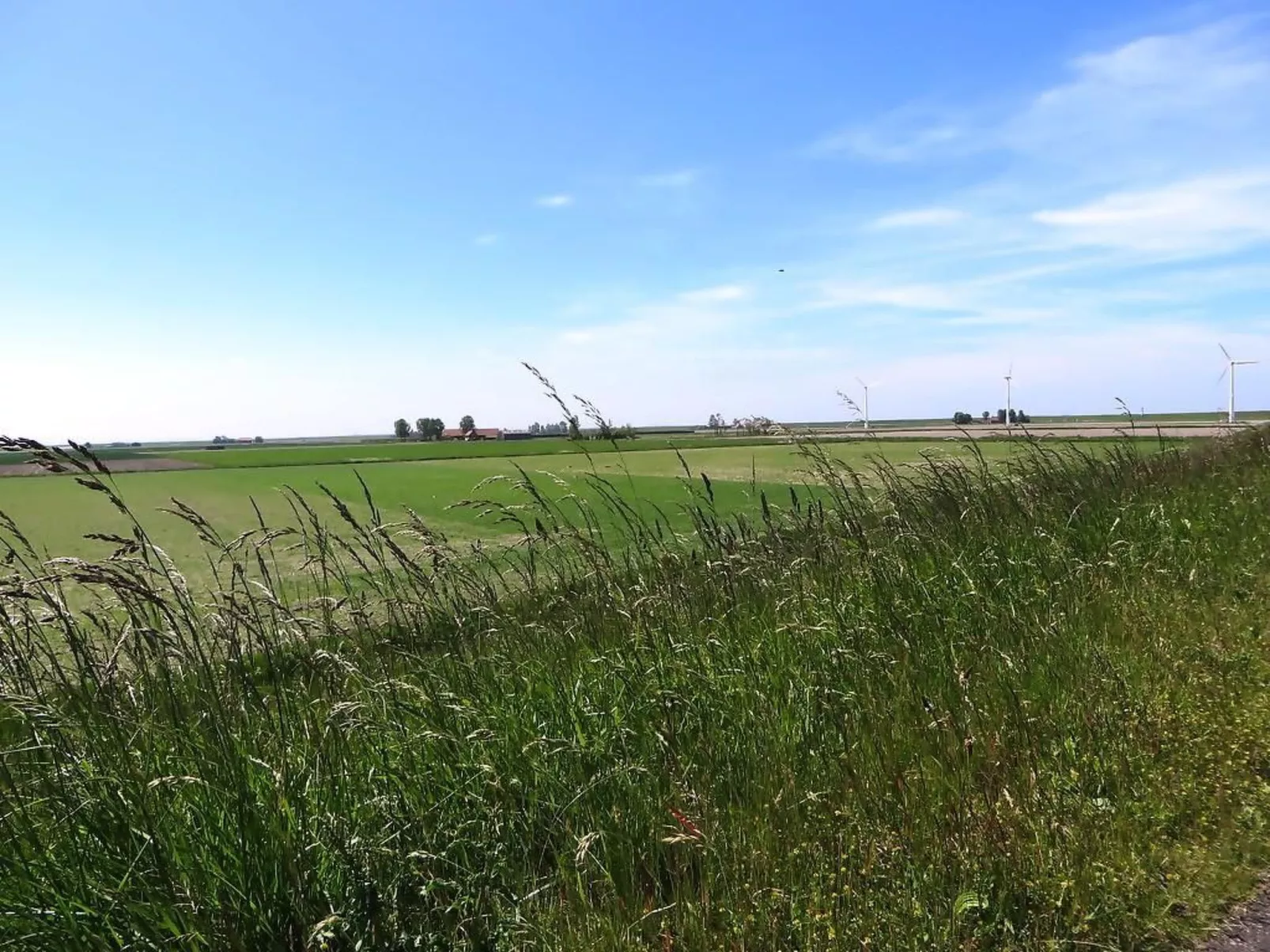 Zand en Zon in Stavenisse-Dehors