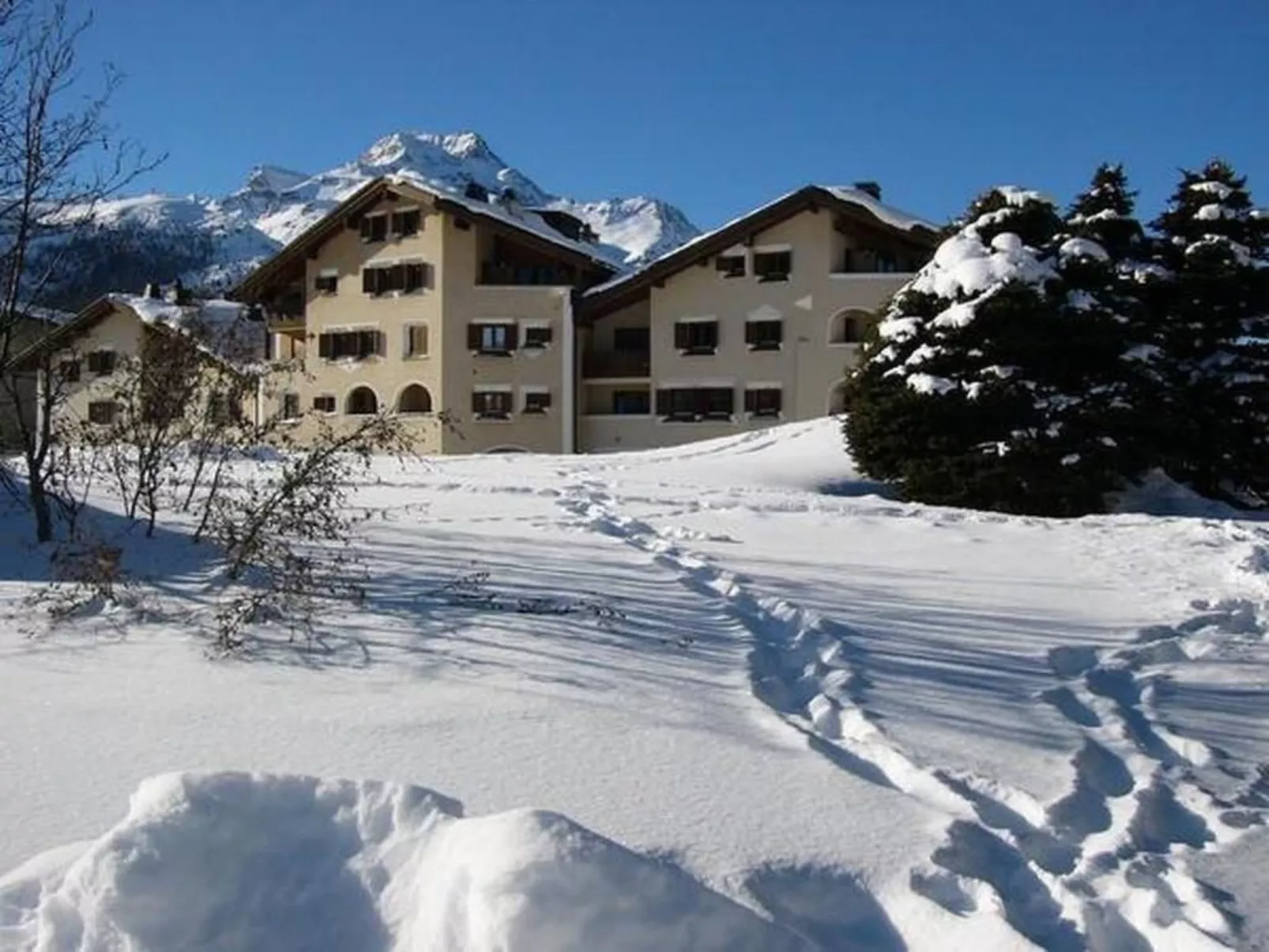 Chesa Polaschin C8-Inside