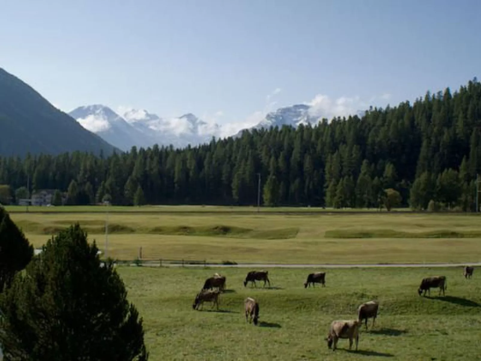 Chesa Bellavista-Dedans