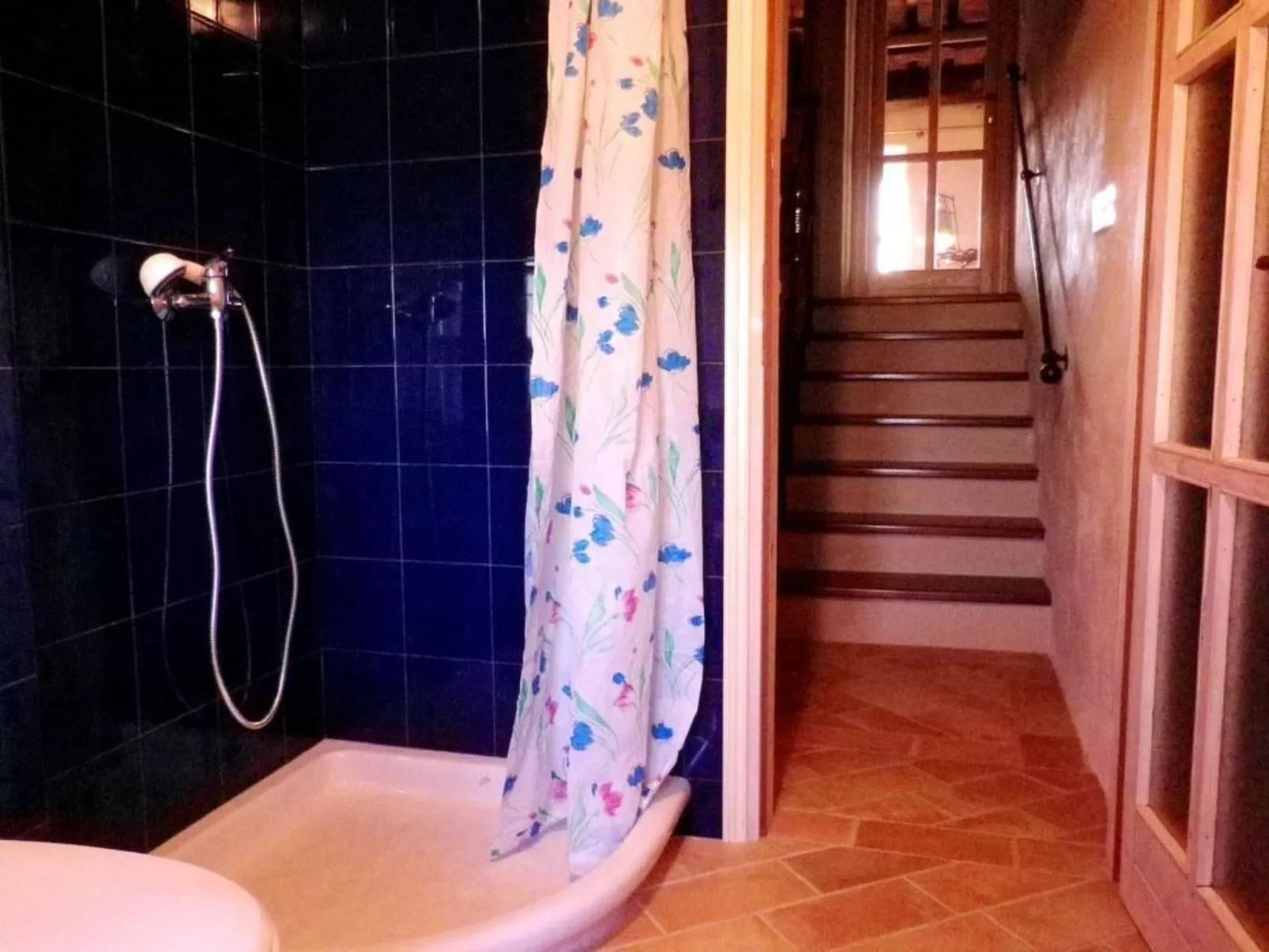 'Adri' mit Wasserblick-Image-tags.info