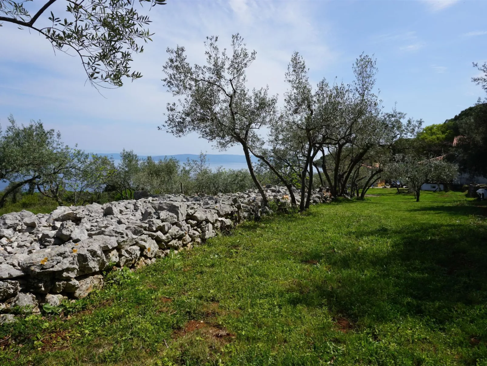 "Istria" mit eigenem Pool-Draußen