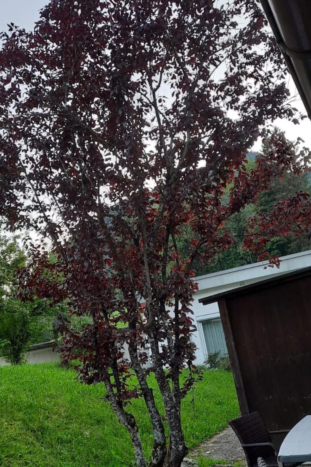 Sport Alpin Wh 10-Drinnen