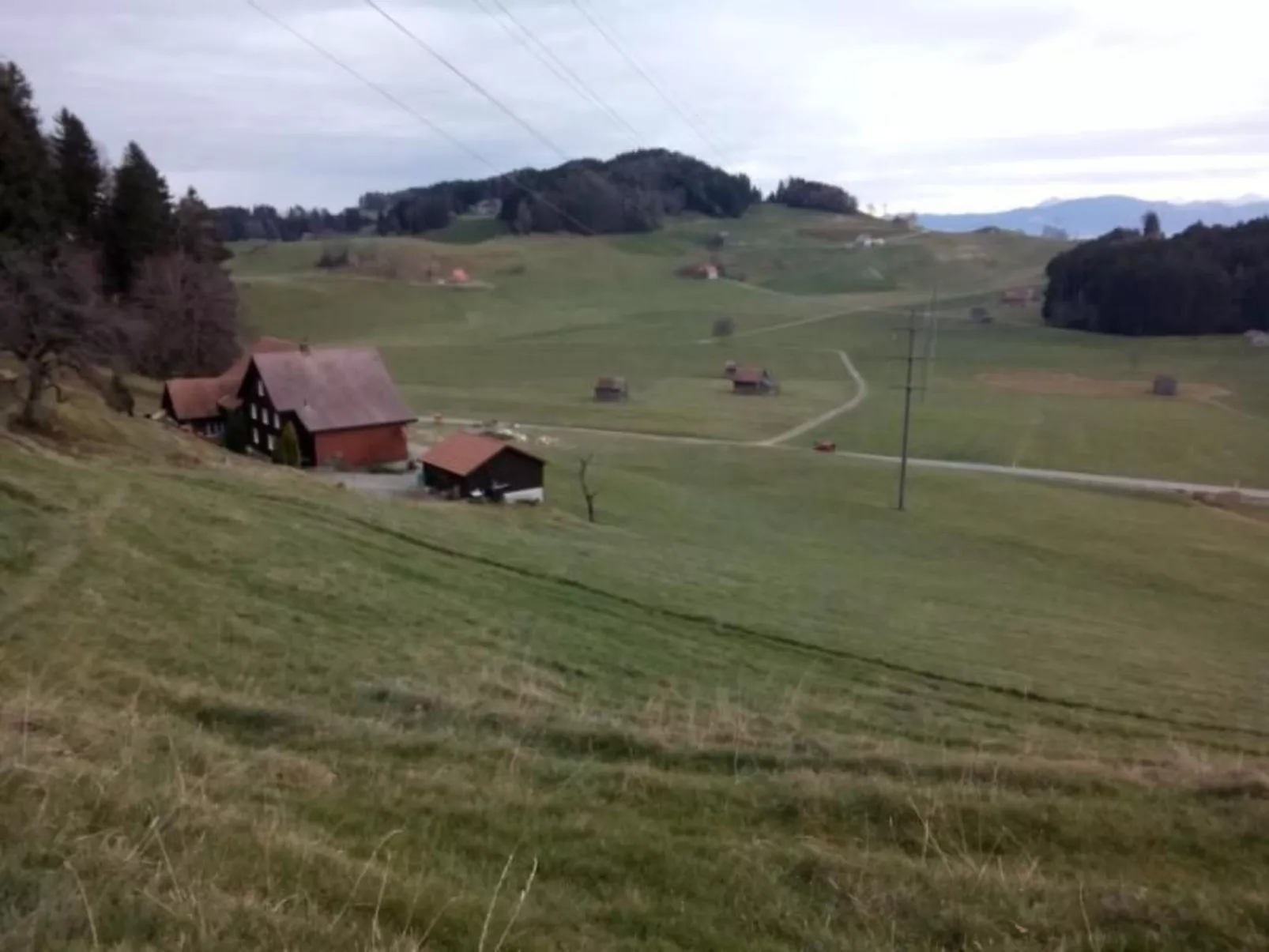 Ferien in der Vogelherd-Dedans