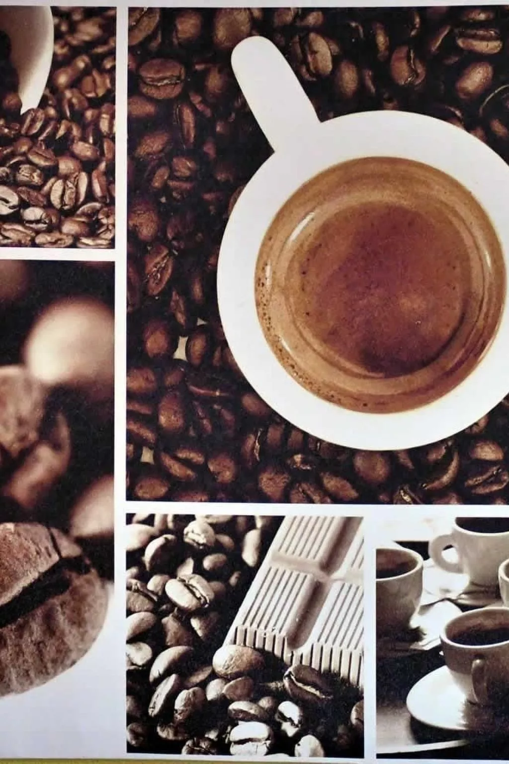 Resi Fewo Bernina-Image-tags.info