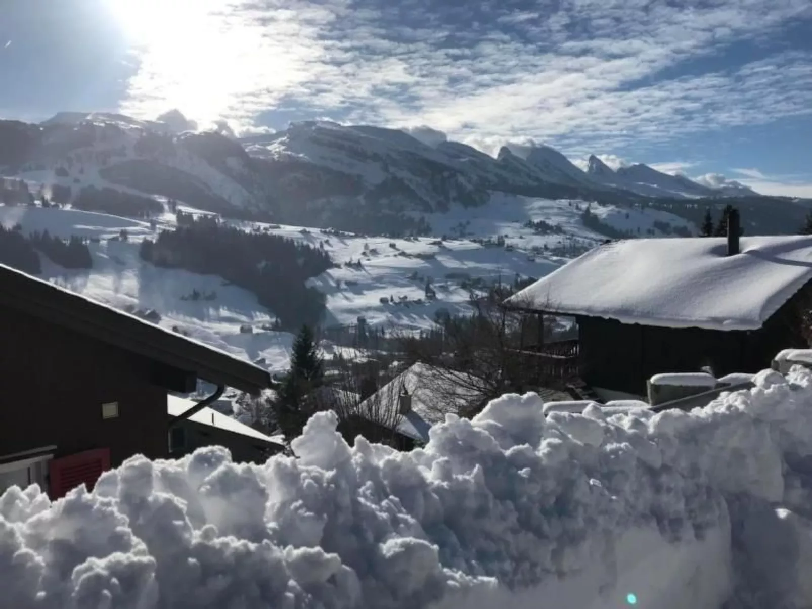 Toggi-Image-tags.info