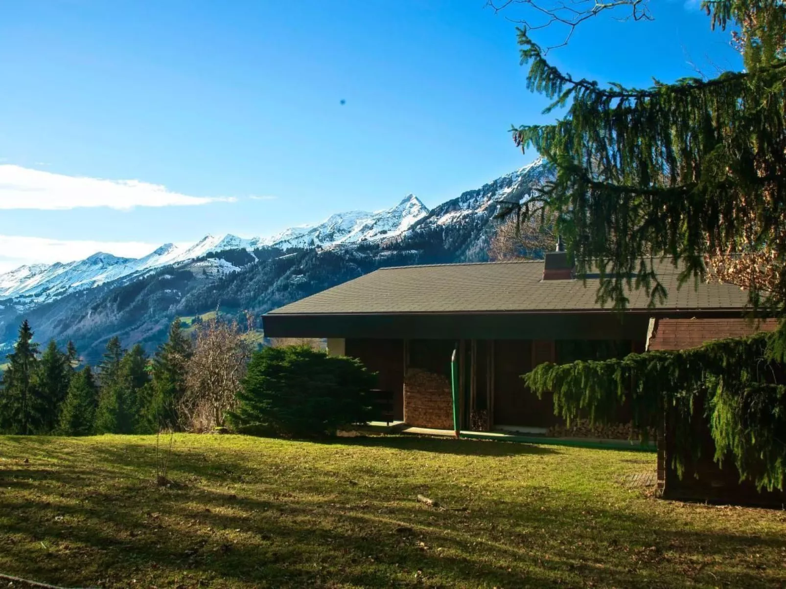 Chalet Halteweidli-Dedans