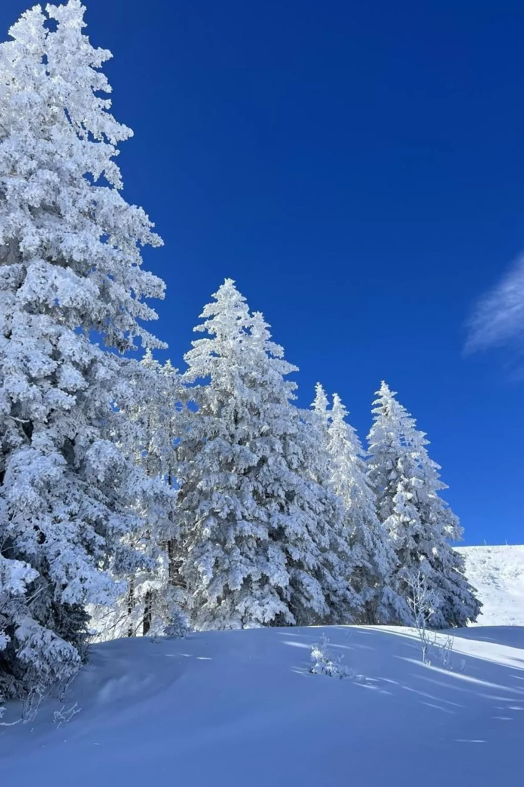 Berg-Ferienwohnung  im Chalet  Zirbeli-Dedans