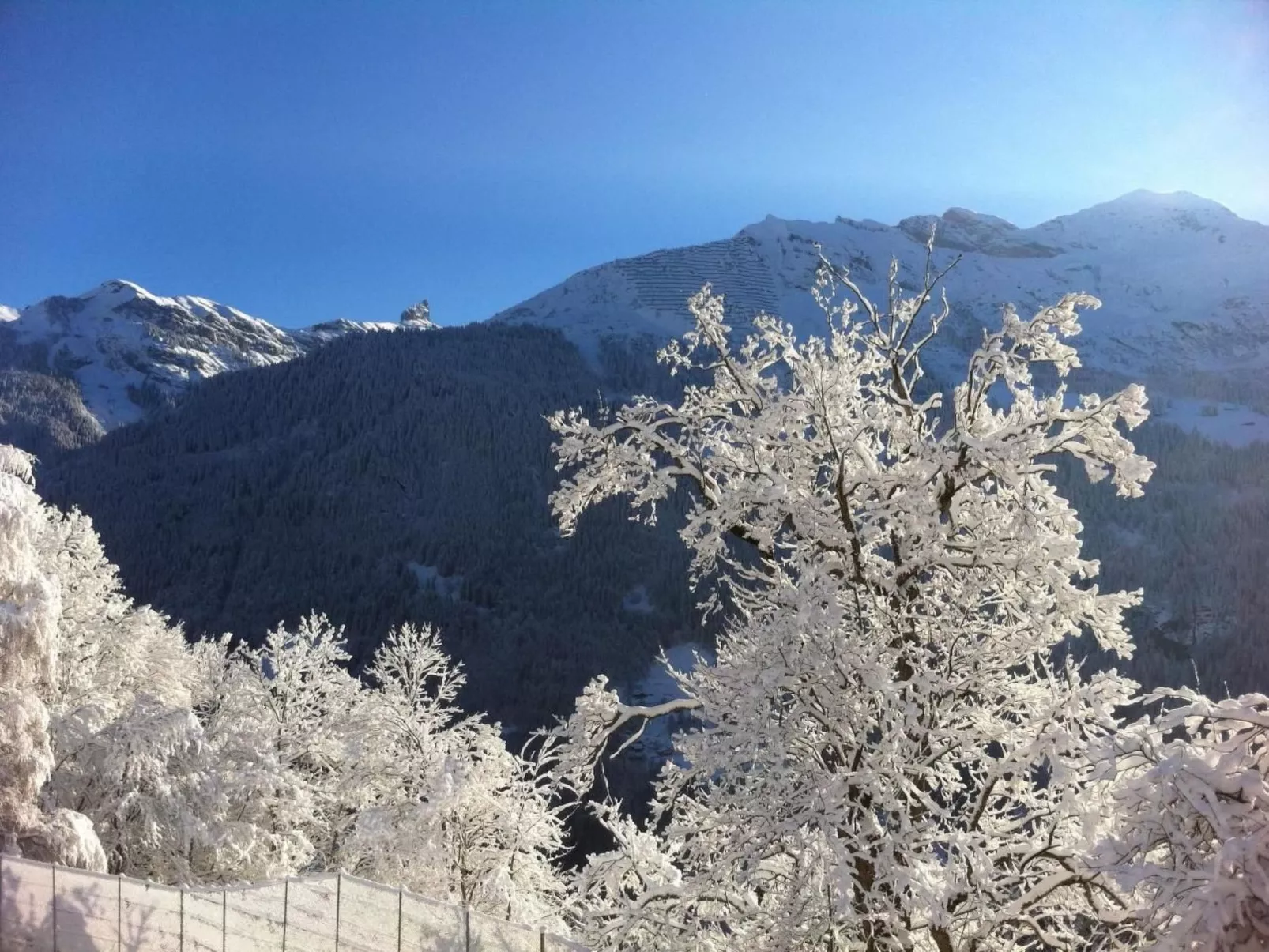 Chalet Birkli-Drinnen