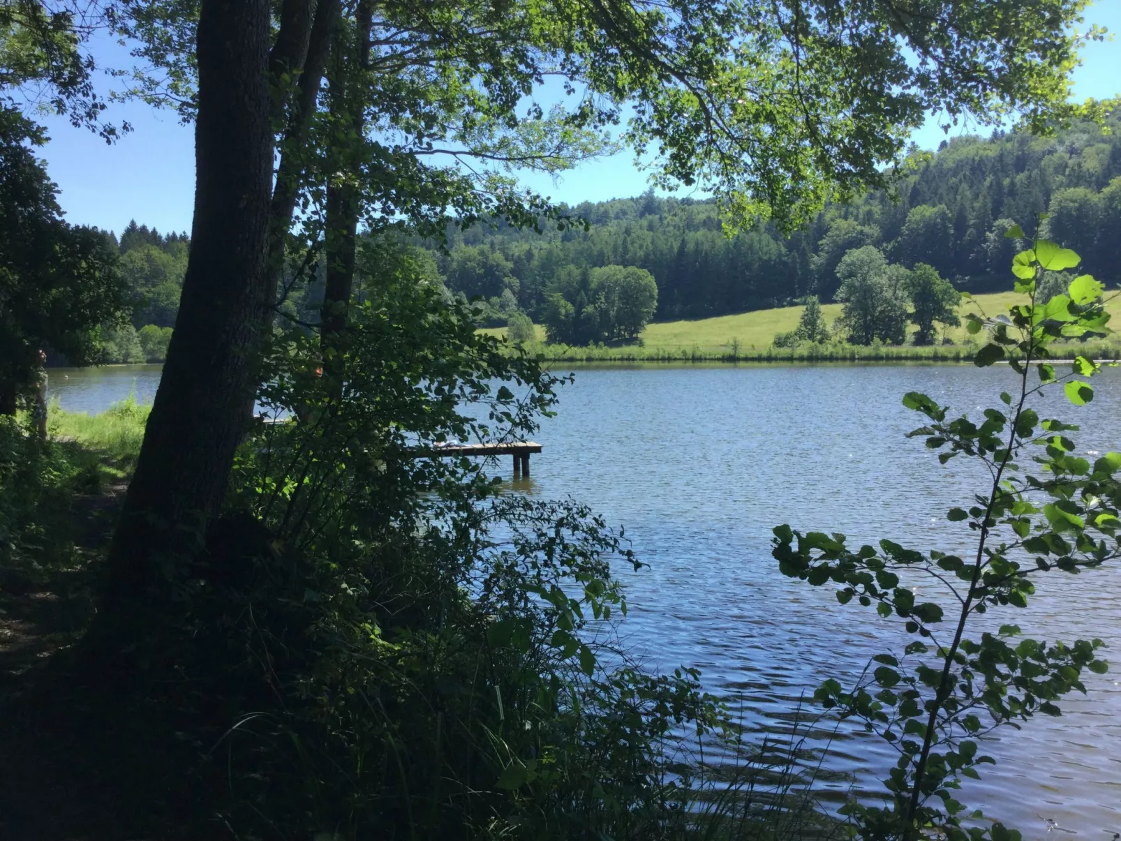 Mit Panoramablick-Drinnen