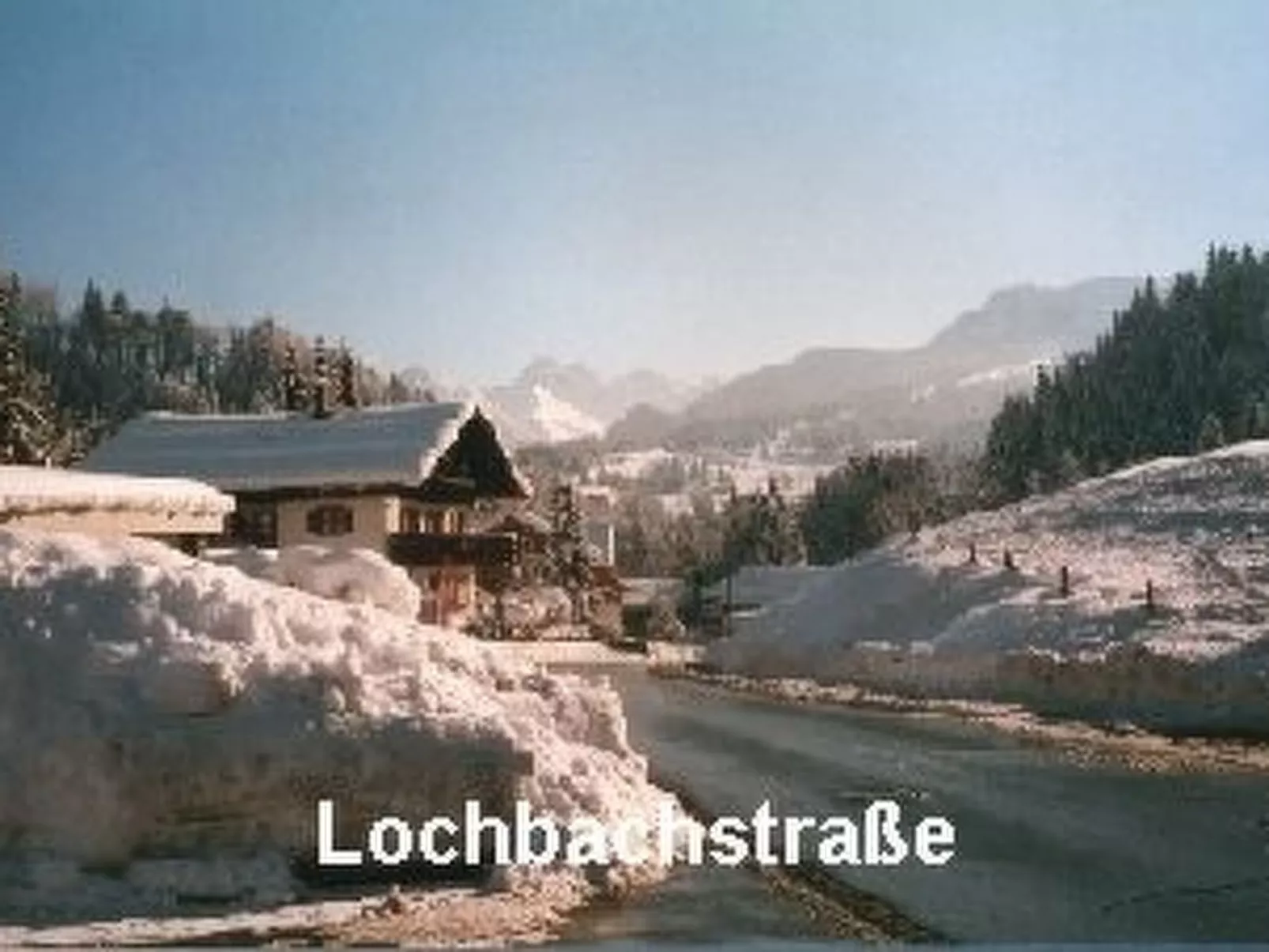 Sport Alpin Wh 230-Dedans