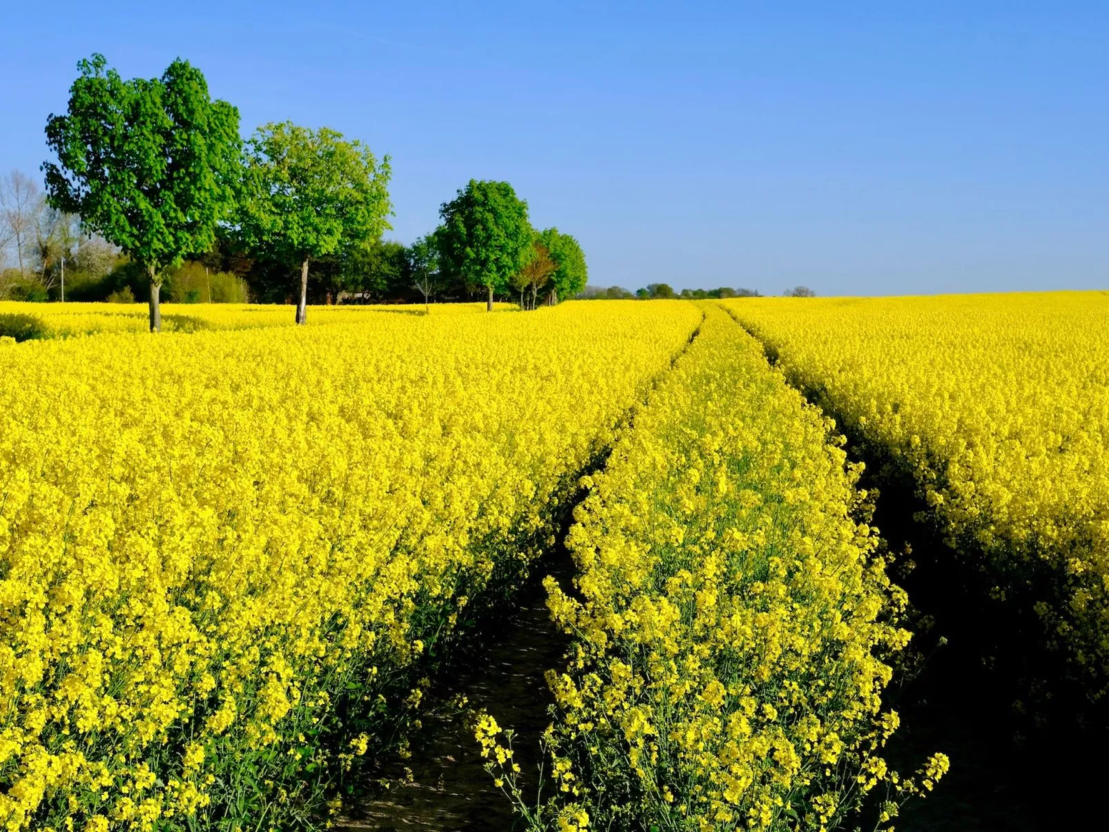 Das Meerchenhaus-Inside