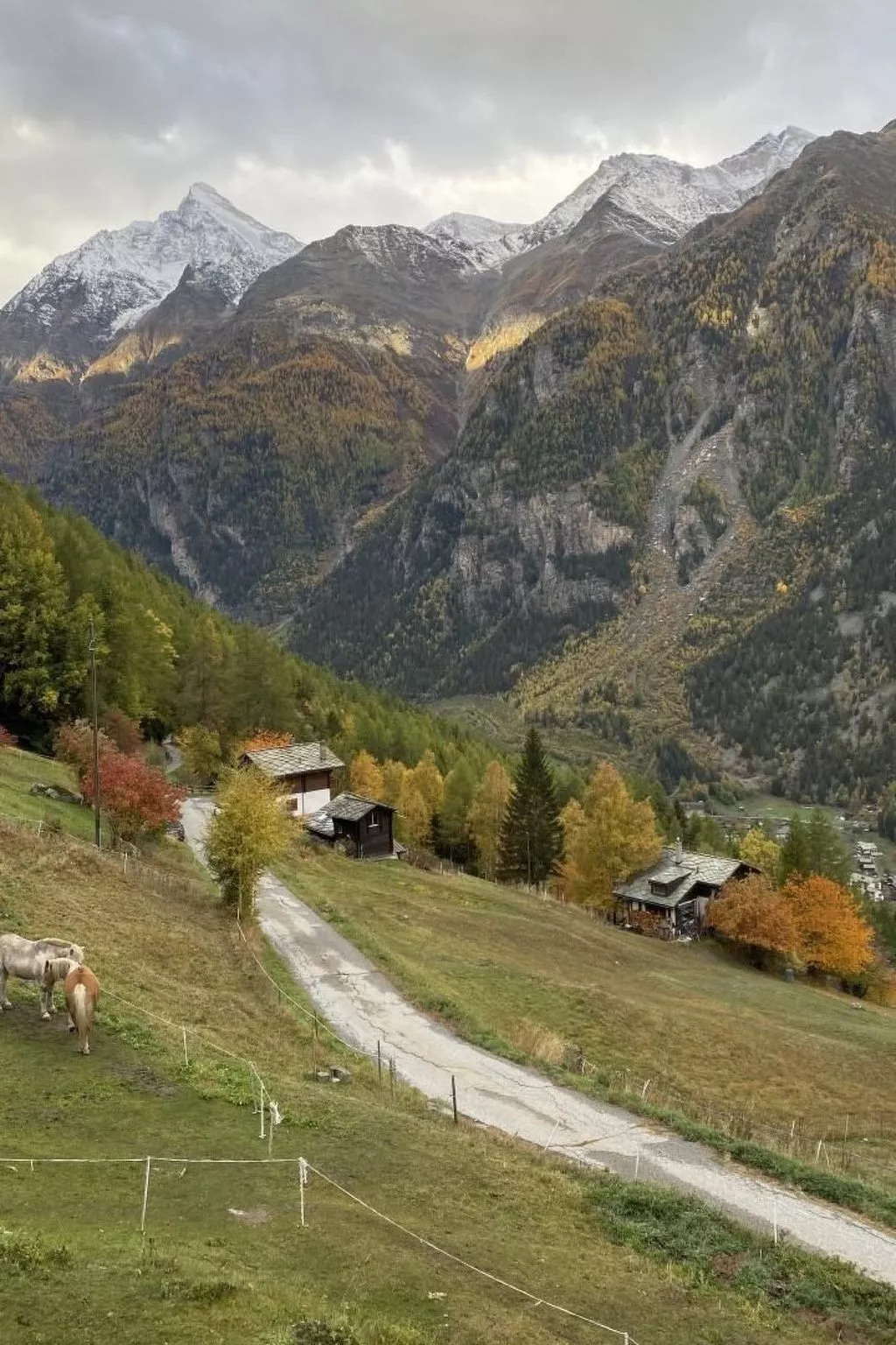 Chalet Spycher-Drinnen