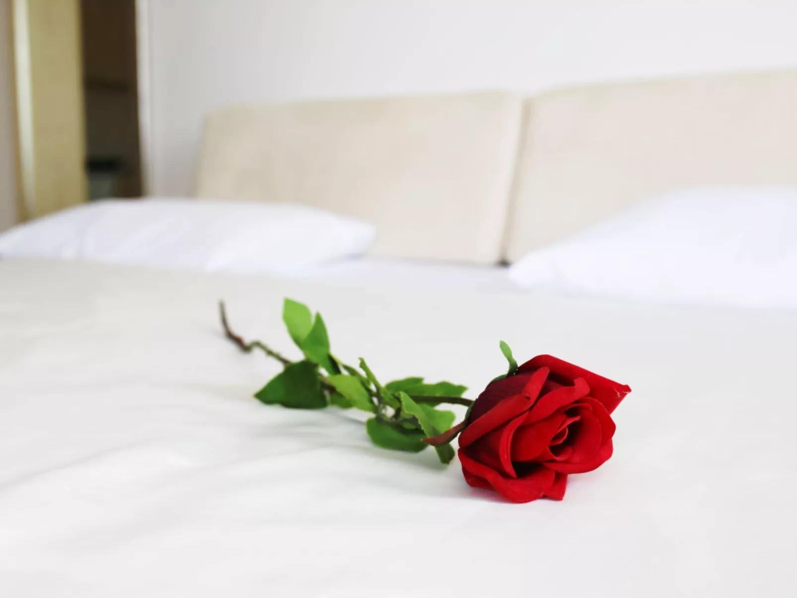 Duplex-Apartment mit Blick auf das Meer und den Garten-Drinnen