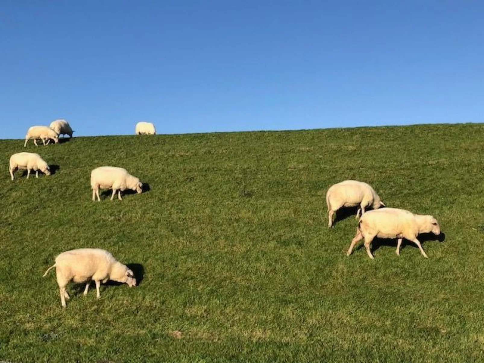 Mit Südwestterrasse mit Stellplatz-Image-tags.info
