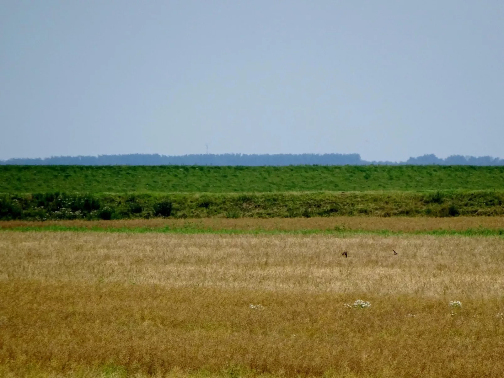 Komfortable Doppelhaushälfte und großem Garten-Inside