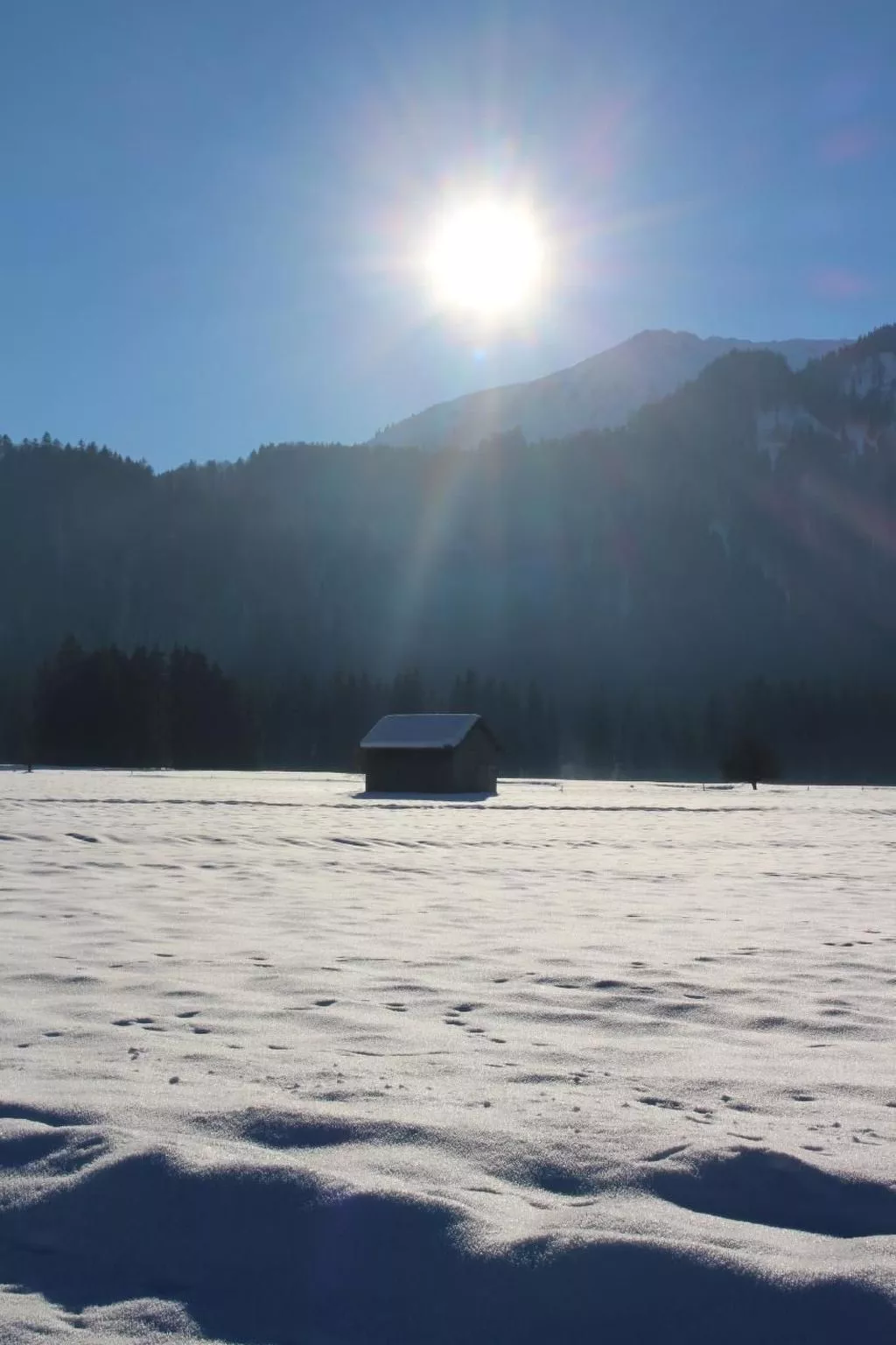 Alpkönigin - Outside