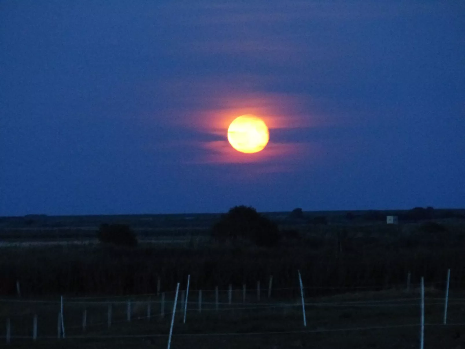 Appartement mit eigenem Parkplatz-Dehors