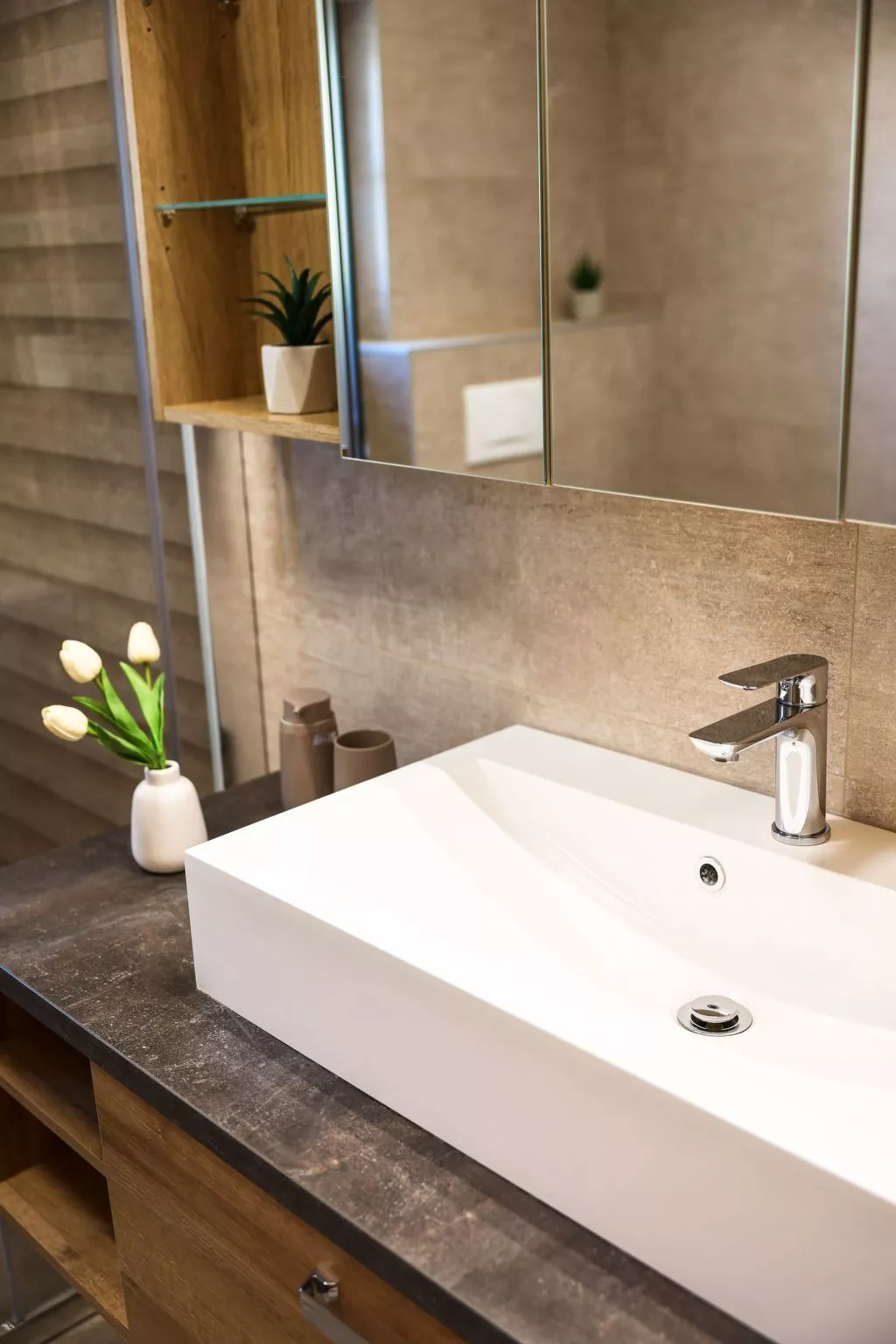 "Olea"-Image-tags.info