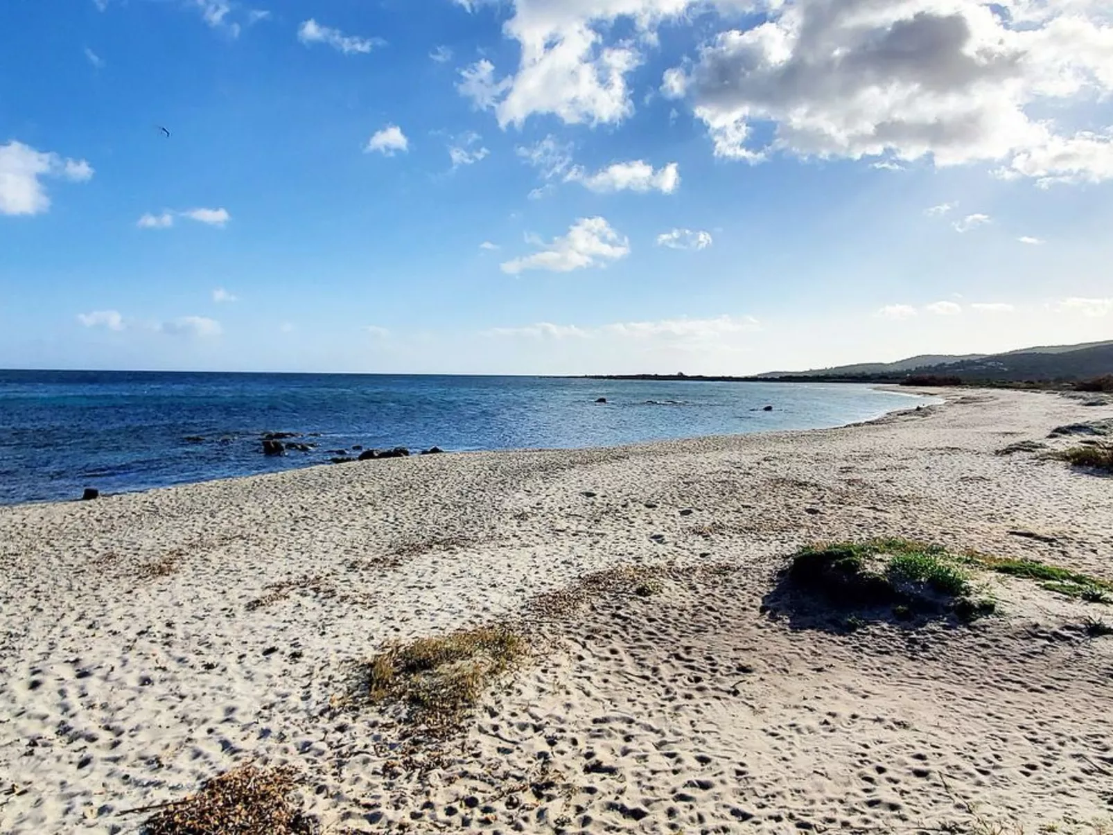 Sato-AP35-3-A-Image-tags.info