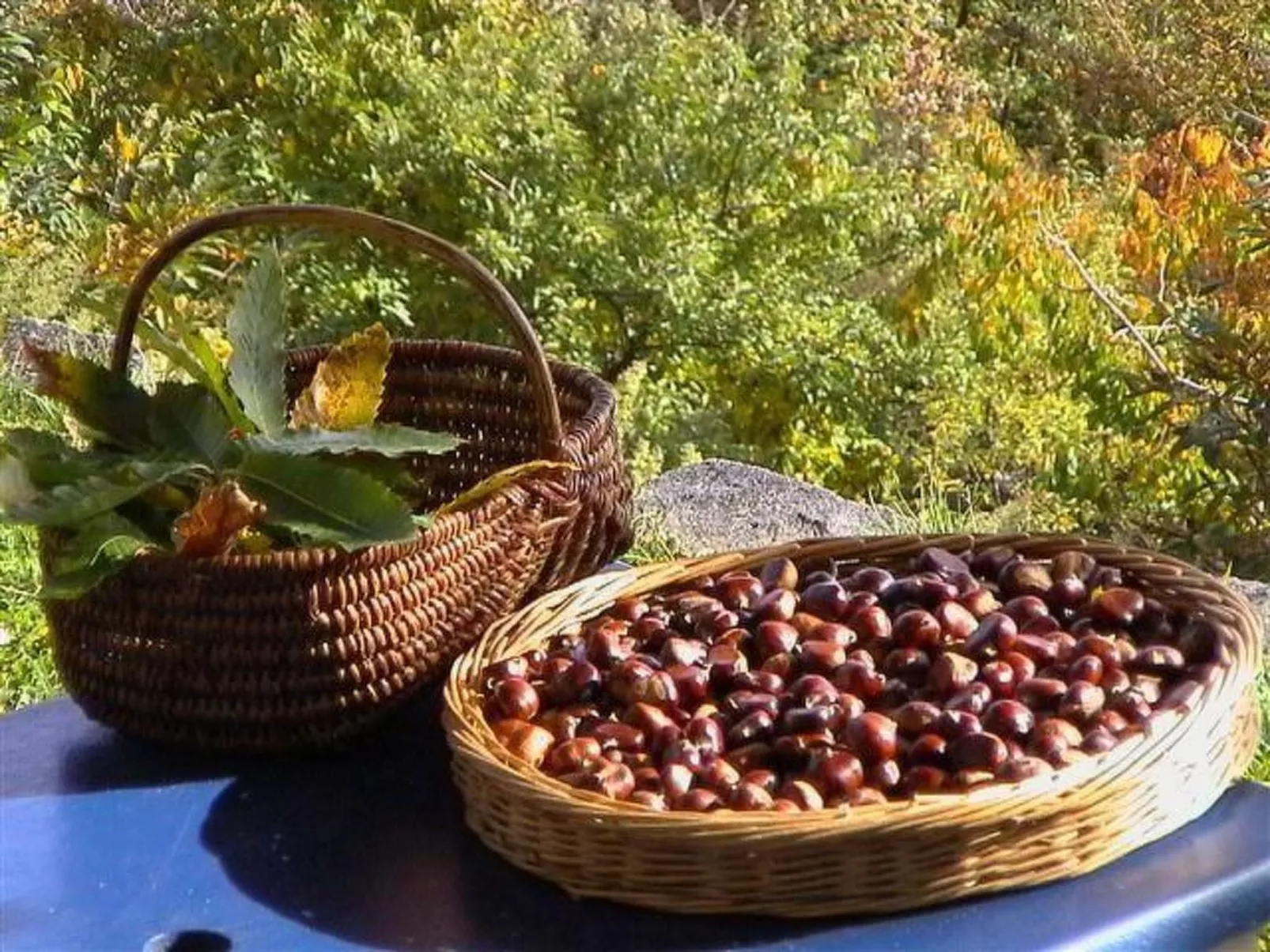 Gîte de Chapelèche Les Genêts-Inside
