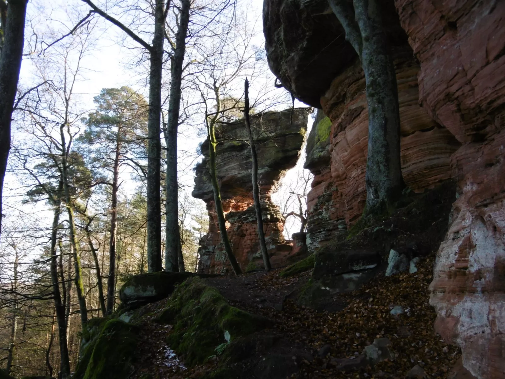 LES BRIMBELLES-Dedans