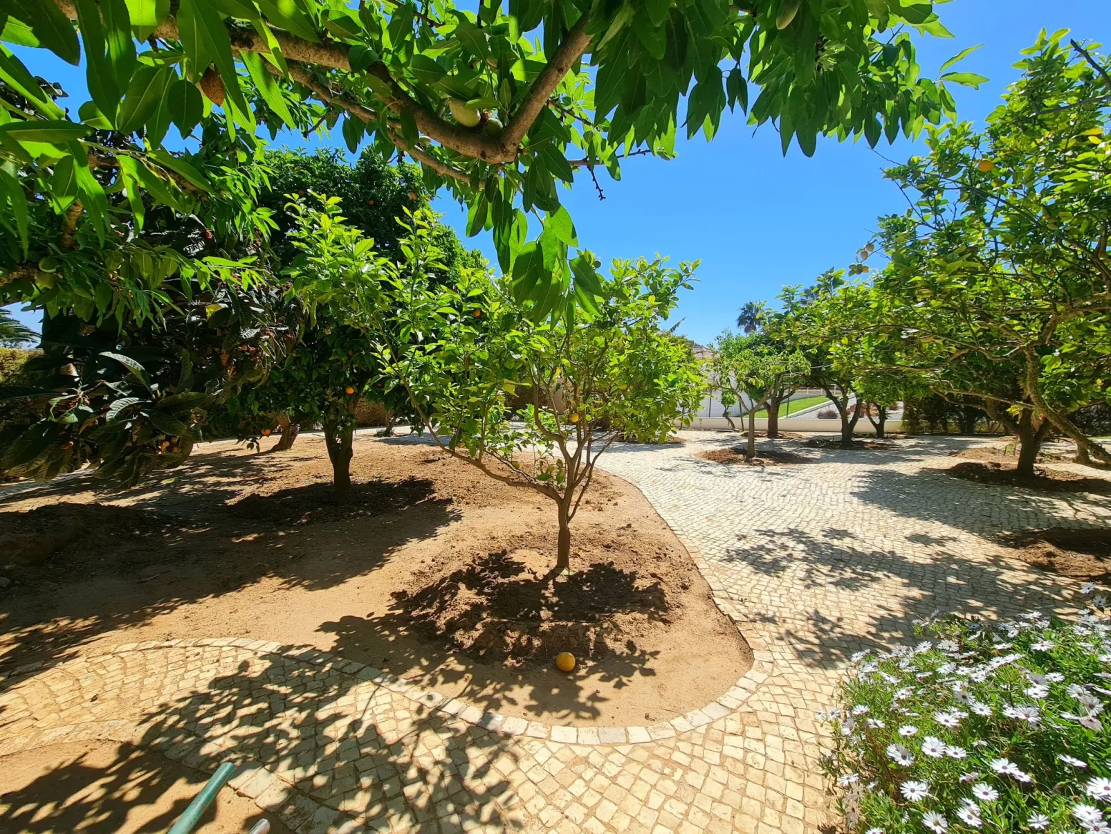 Villa Mar á Vista-Draußen