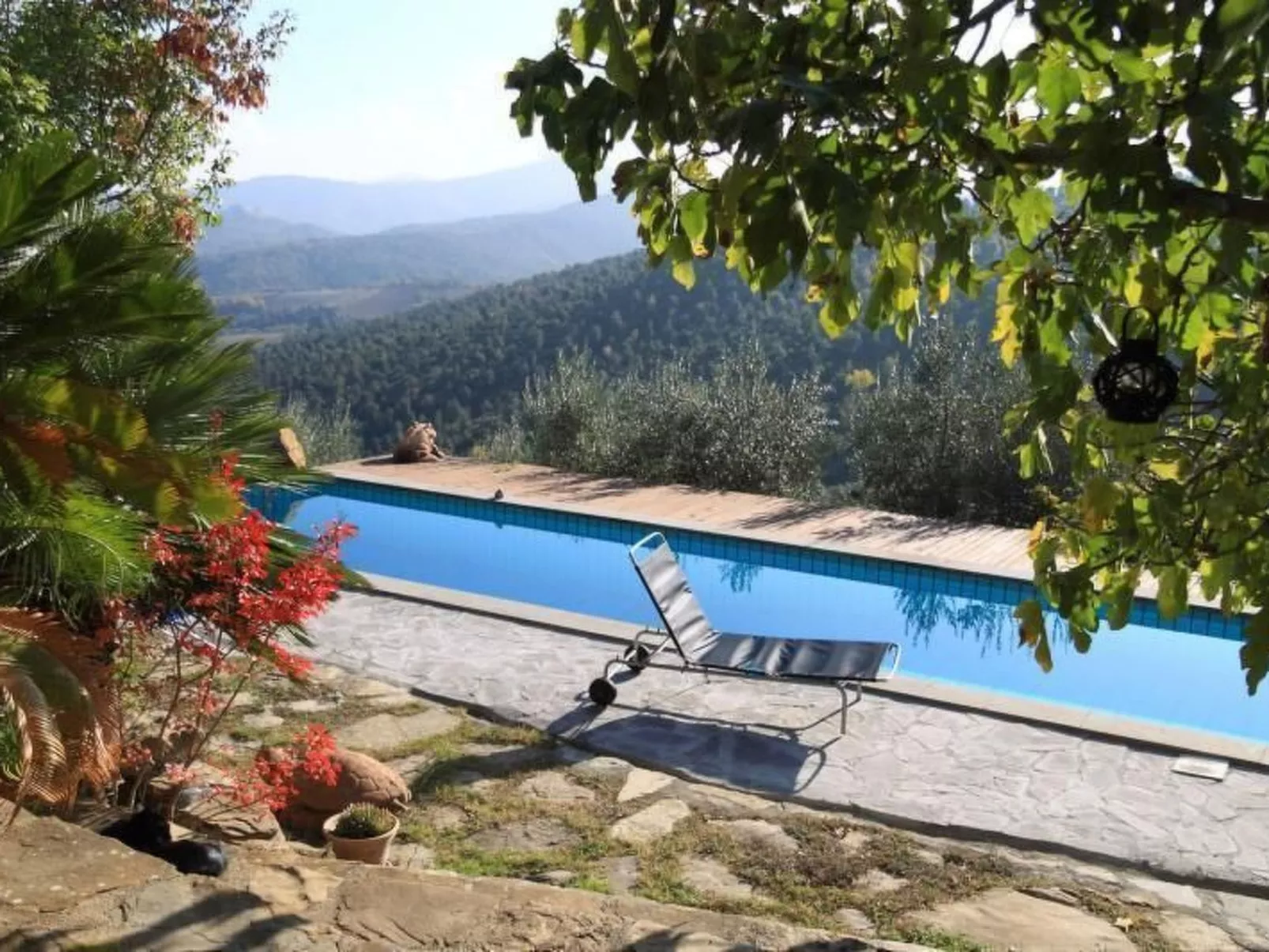 Wohnung Sonnenaufgang in Monte Vibiano Vecchio-Drinnen