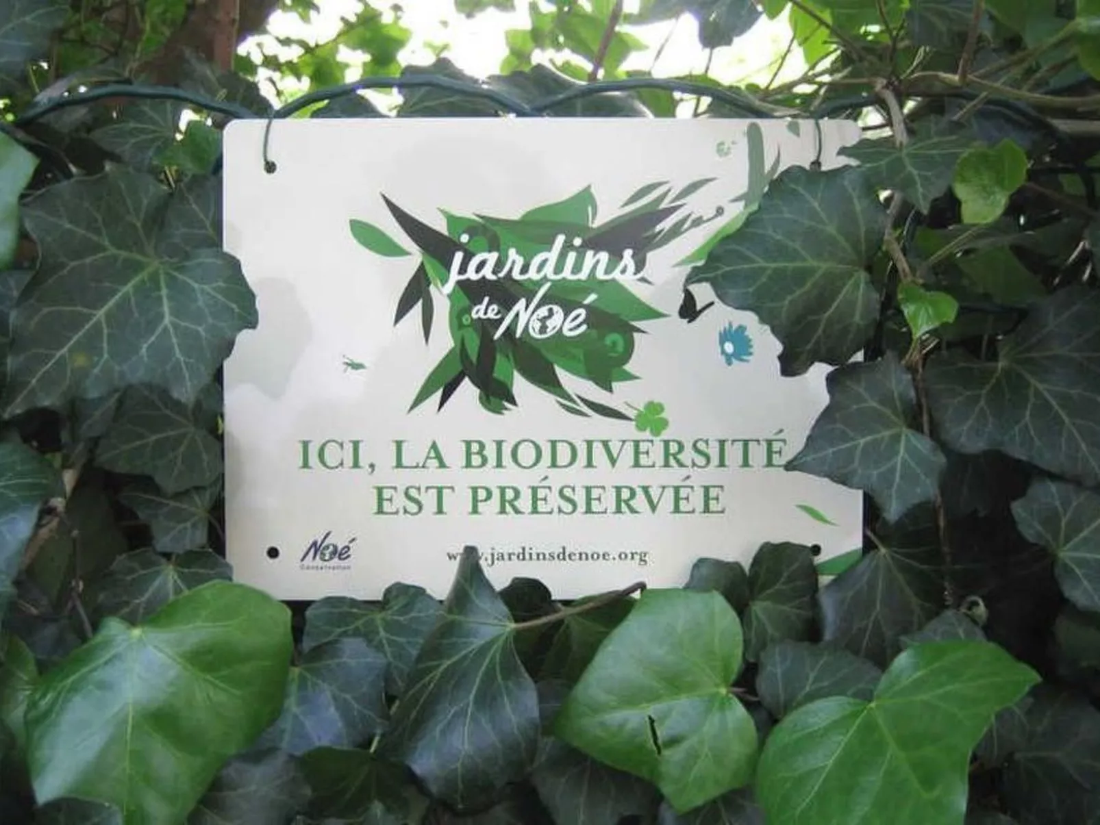 Bévau: Frankreich erleben mit Bio-Frühstück und täglichem Putz-Service-Image-tags.info