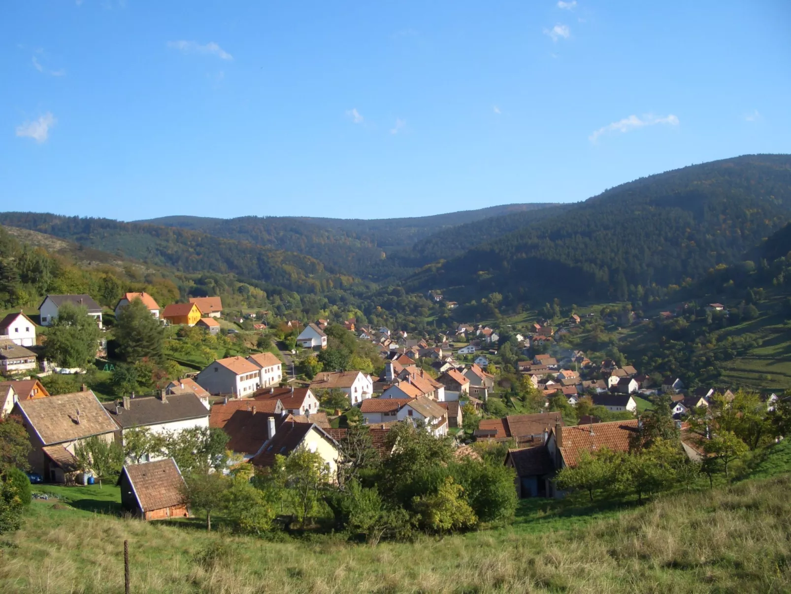 Mit Balkon, Garten und Talblick-Inside