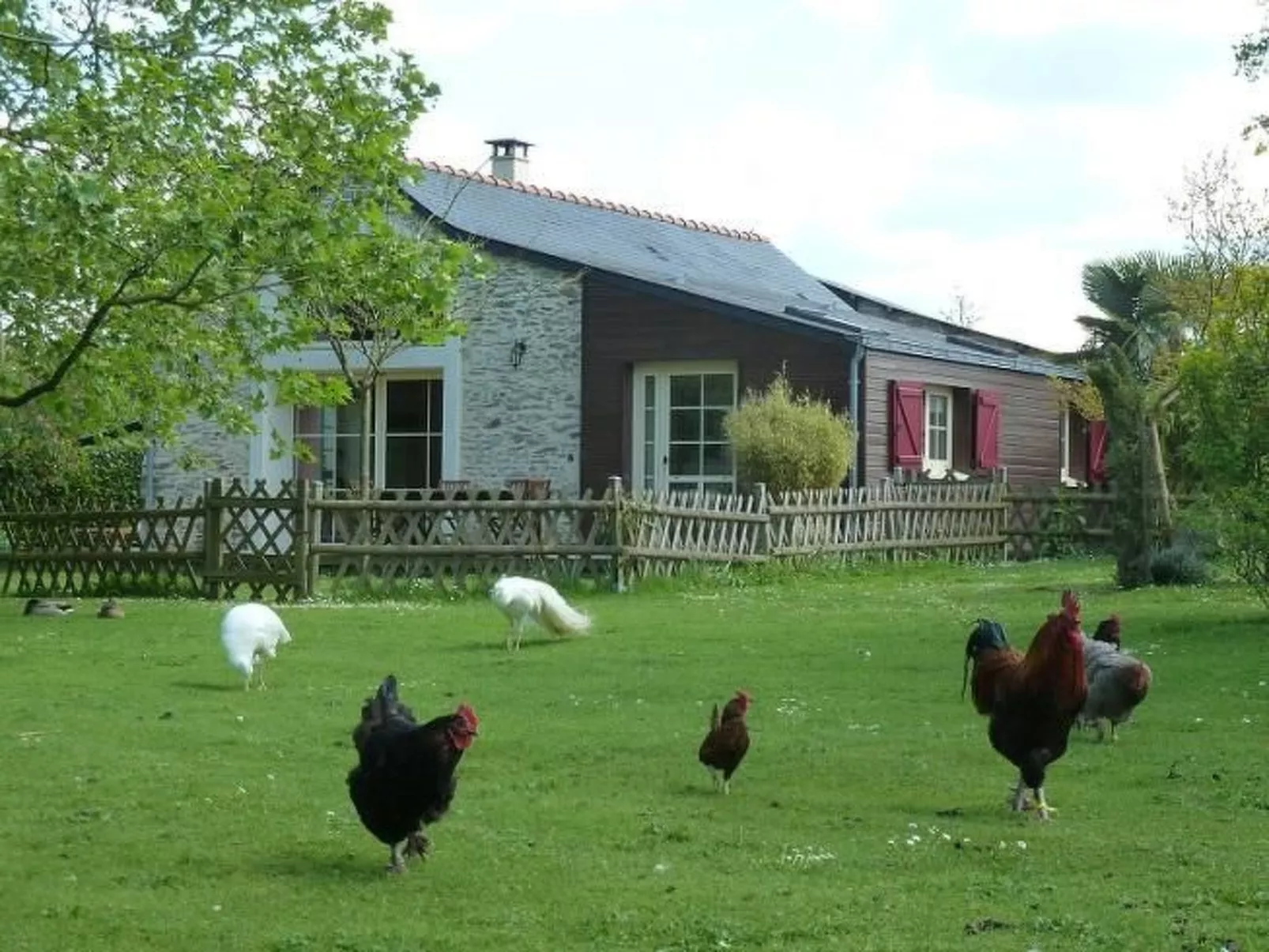 "Au Bas Chalonge Gîte"-Dehors