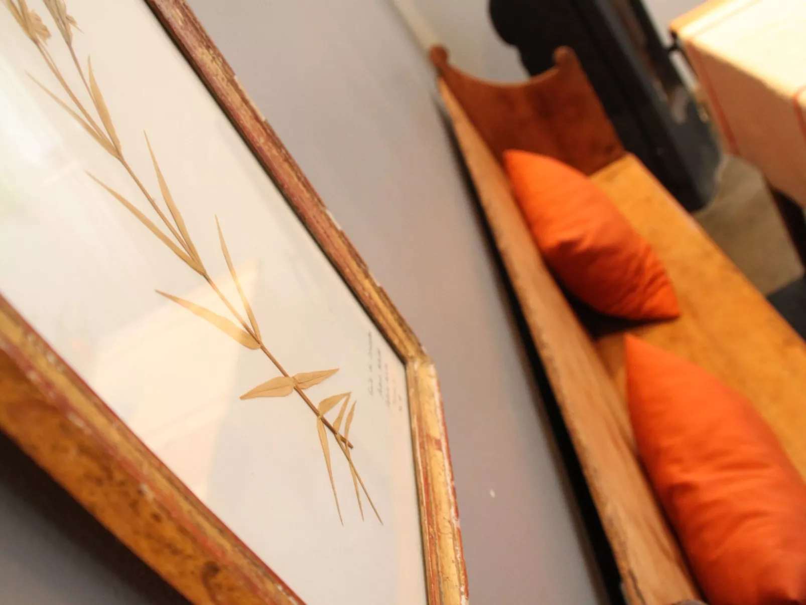 Coeur des Monts d'Ardeche-Dedans