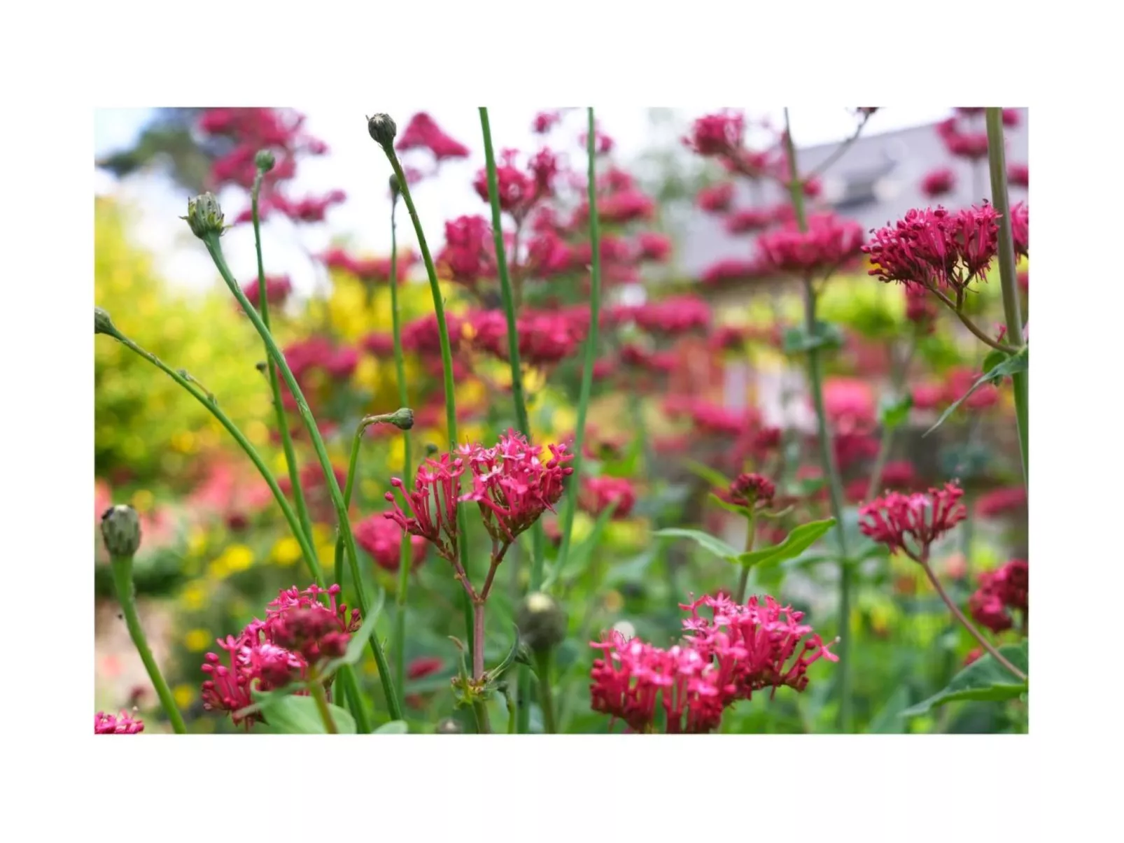 Domäne mit Terrasse-Drinnen