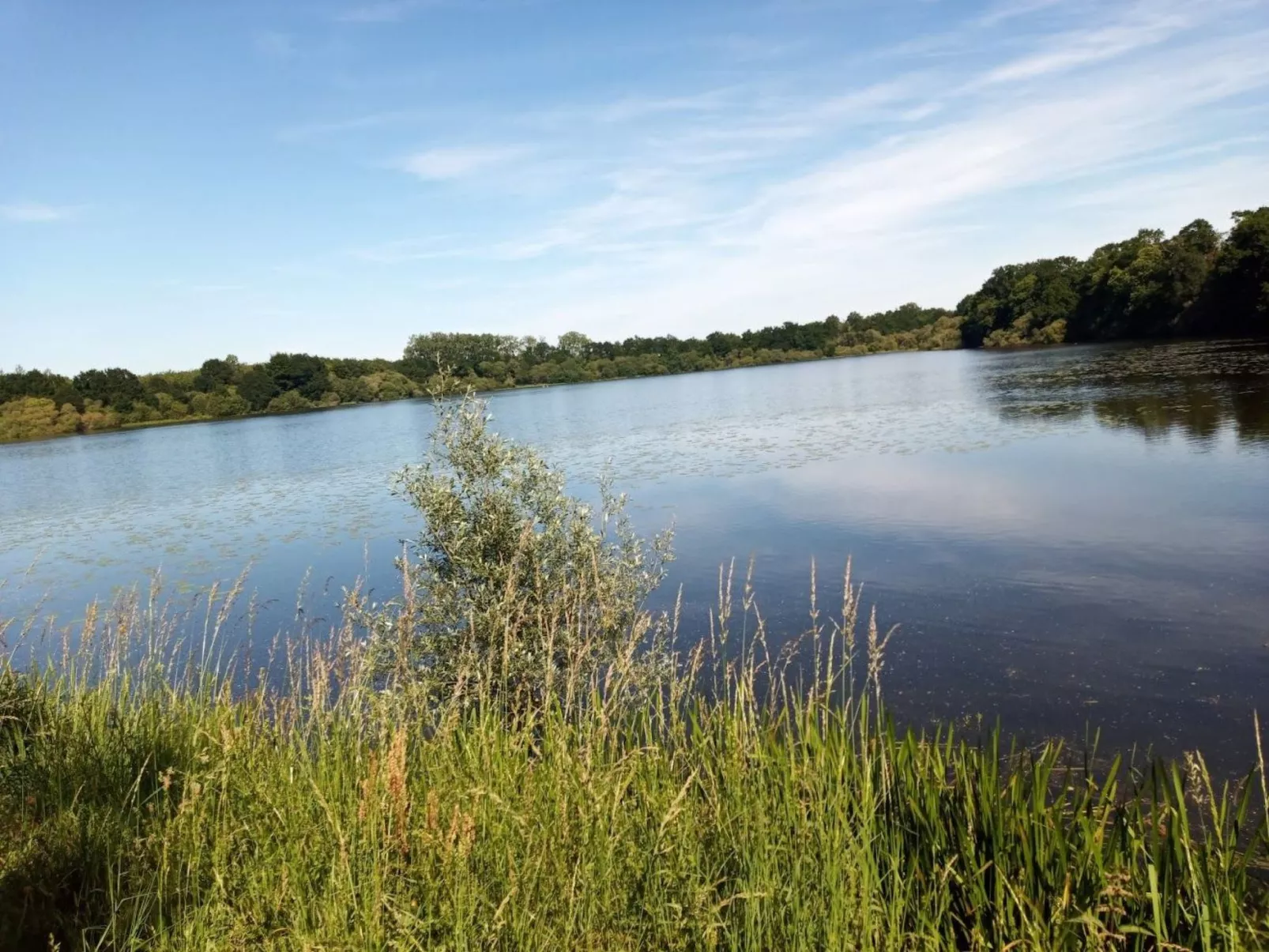 Villa La Côte du Chat -Familienhaus Bretagne-Dedans