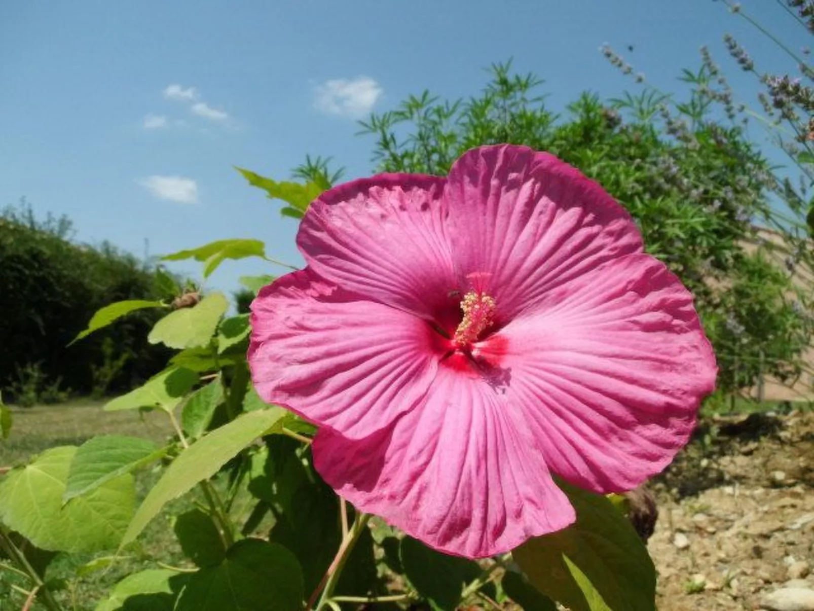 Im Luberon Provence-Image-tags.info