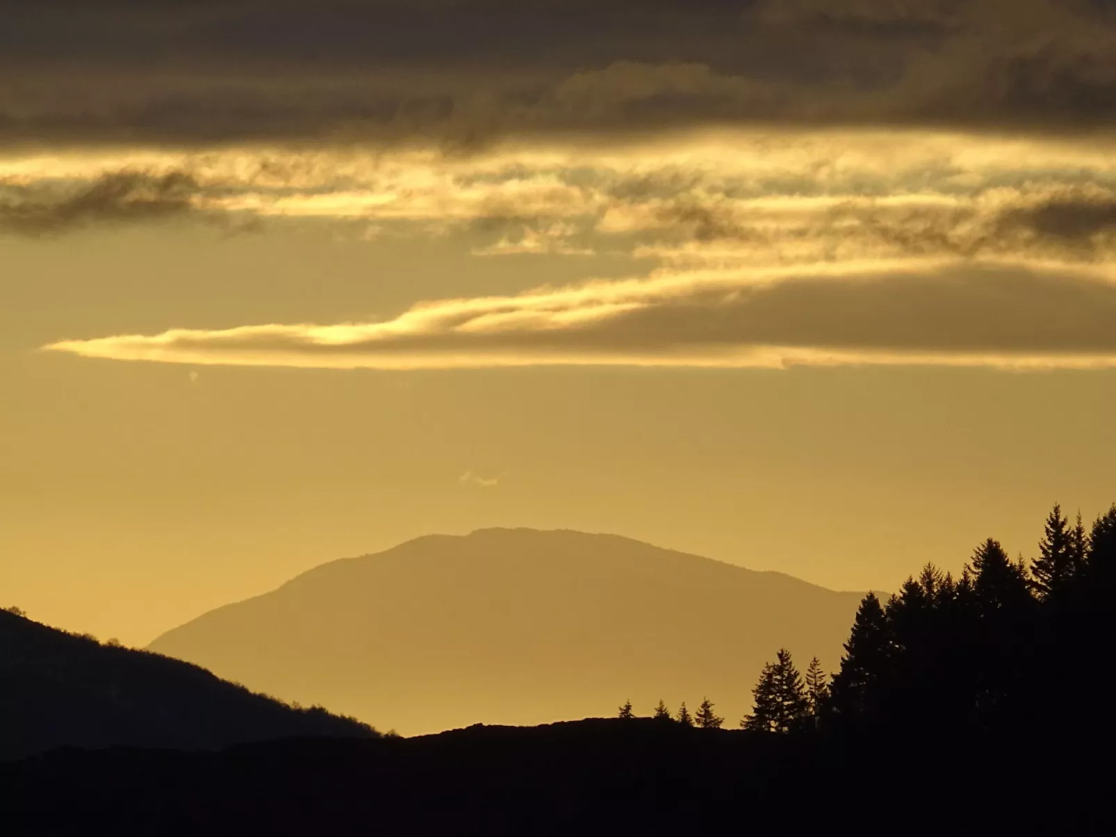"Les Glycines"-Inside