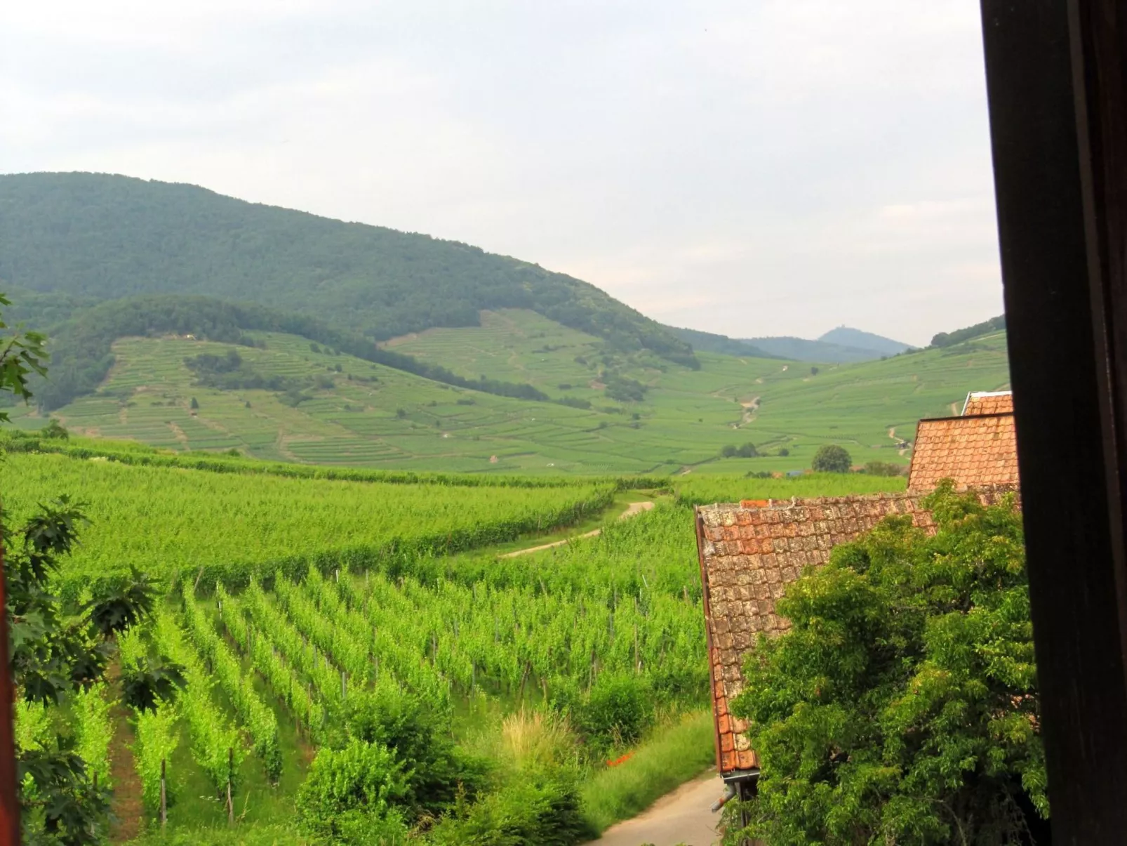 Med-Face Vosges,im Süden,im Herzen der Weinberge,Ruhig,WiFi-Outside