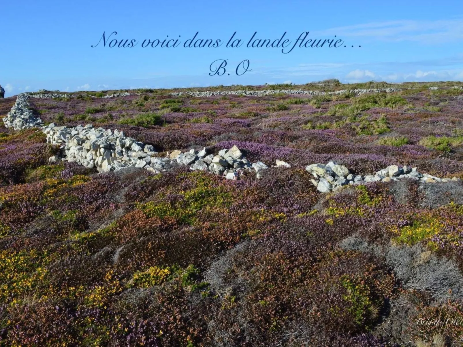 Ferienhaus-Image-tags.info