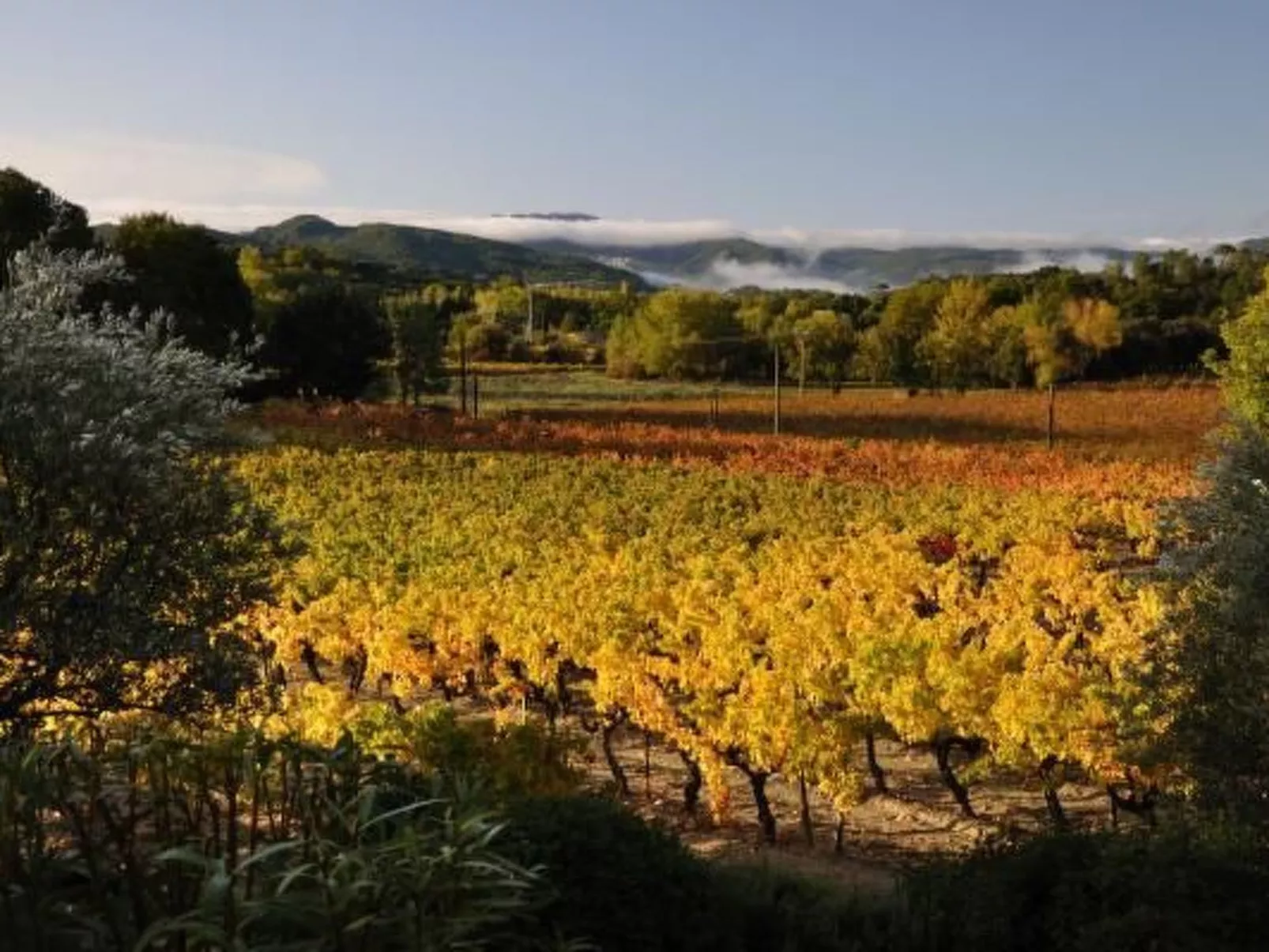 "Haus der Olivenbäume"-Inside