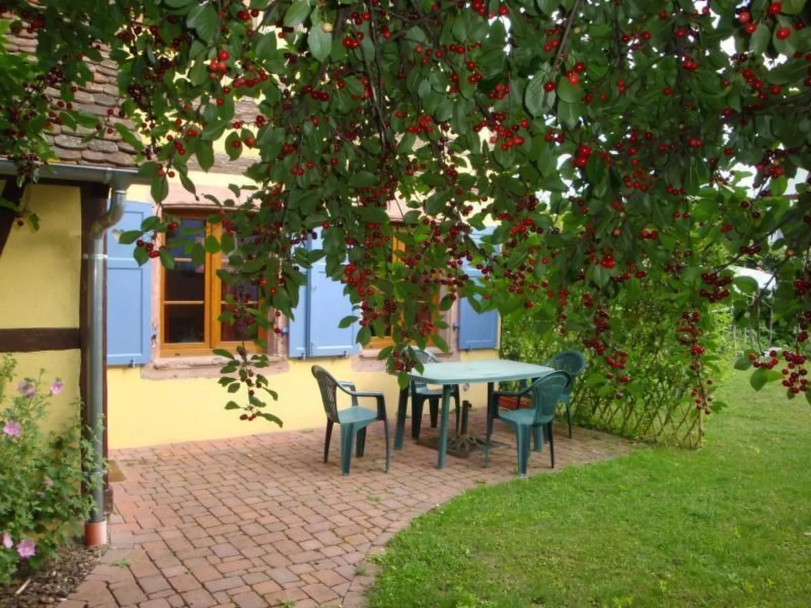 Gite "Sonneblüem un Pfefferminz"-Dedans