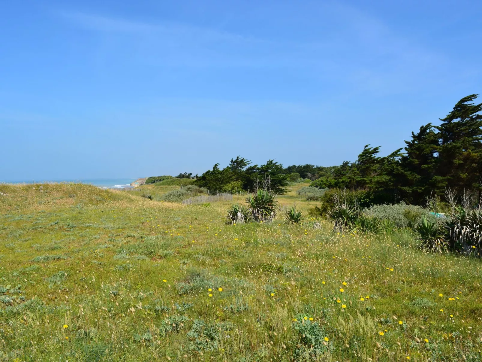 "Villa Joss" in Strandnähe-Image-tags.info